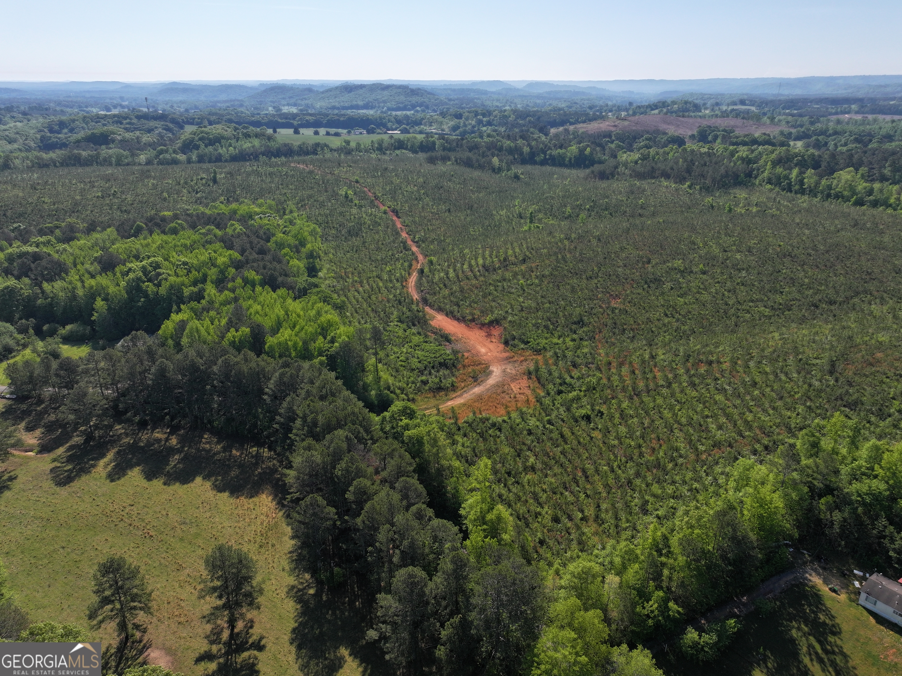 118 +/- Acres On Lumpkin Road Property Photo 1