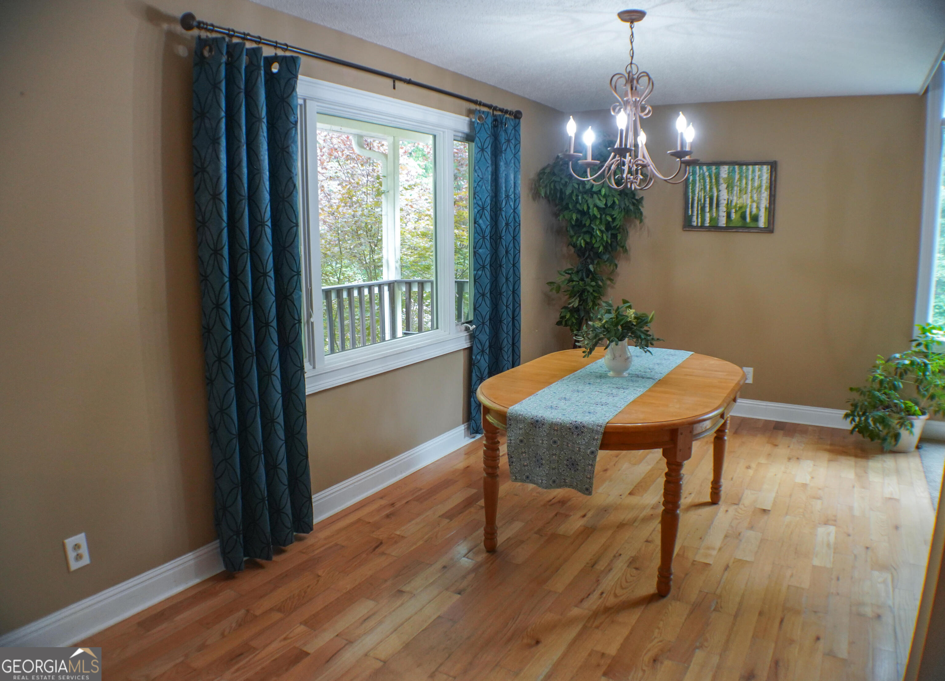 335 Winding Stream Trail Property Photo 4