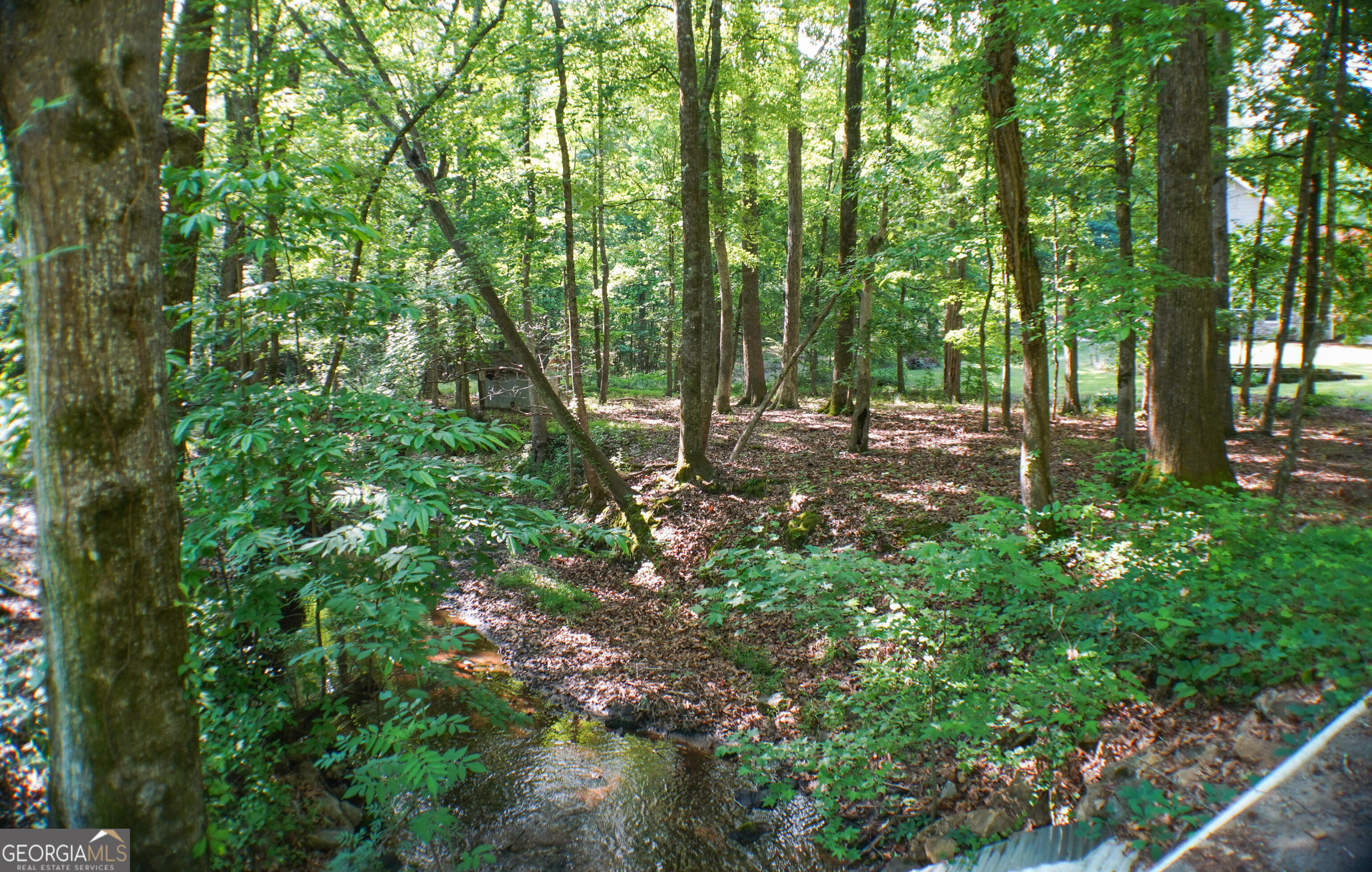 335 Winding Stream Trail Property Photo 33