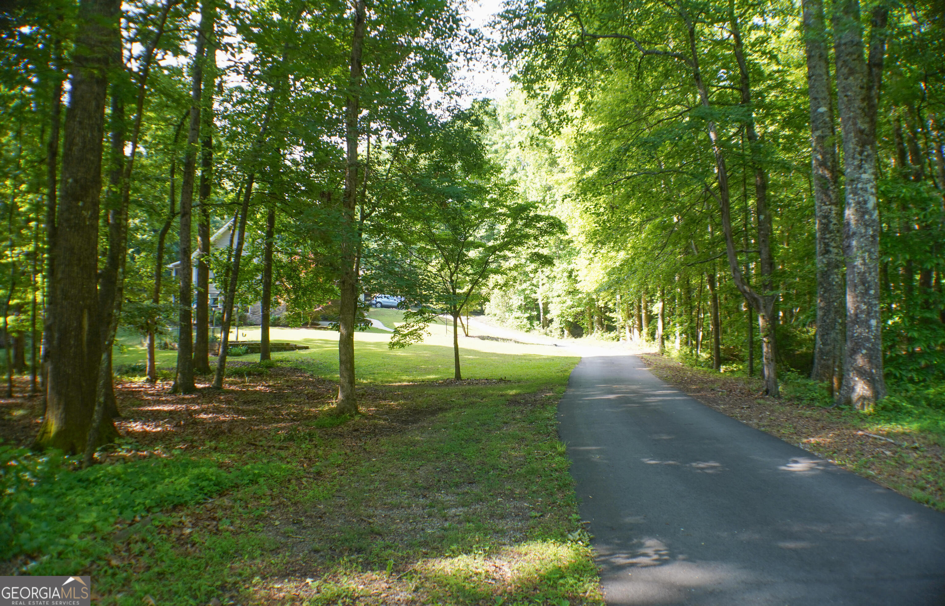 335 Winding Stream Trail Property Photo 34