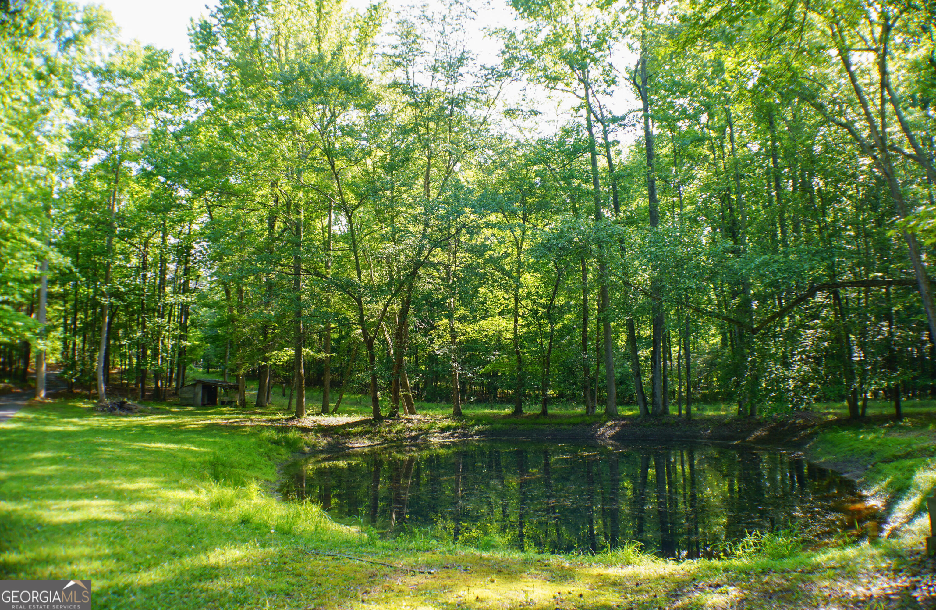 335 Winding Stream Trail Property Photo 35