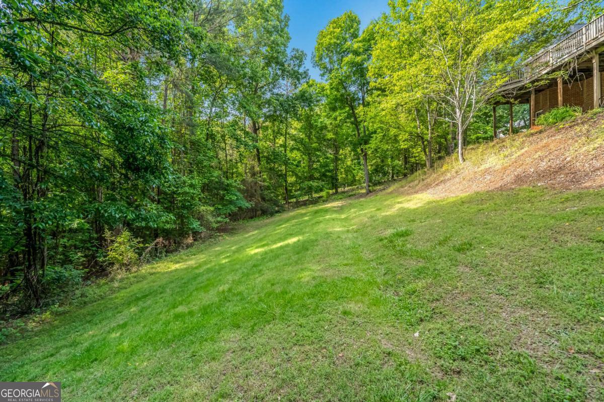 411 Overlook Way Property Photo 82