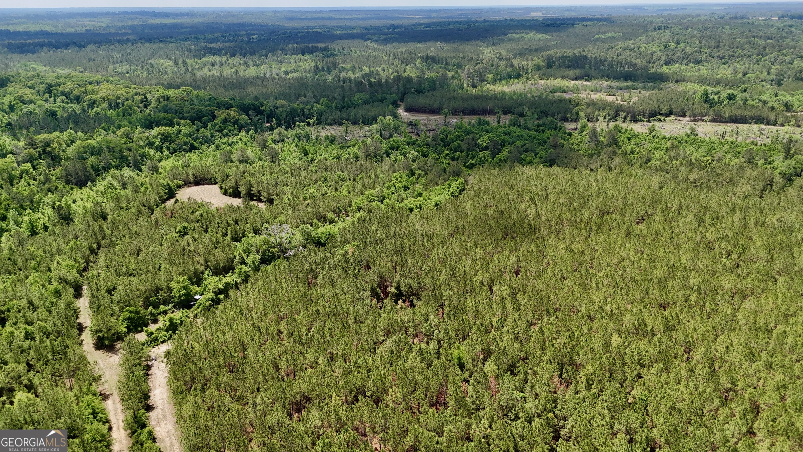 0 Neily Wagon Road Property Photo 2
