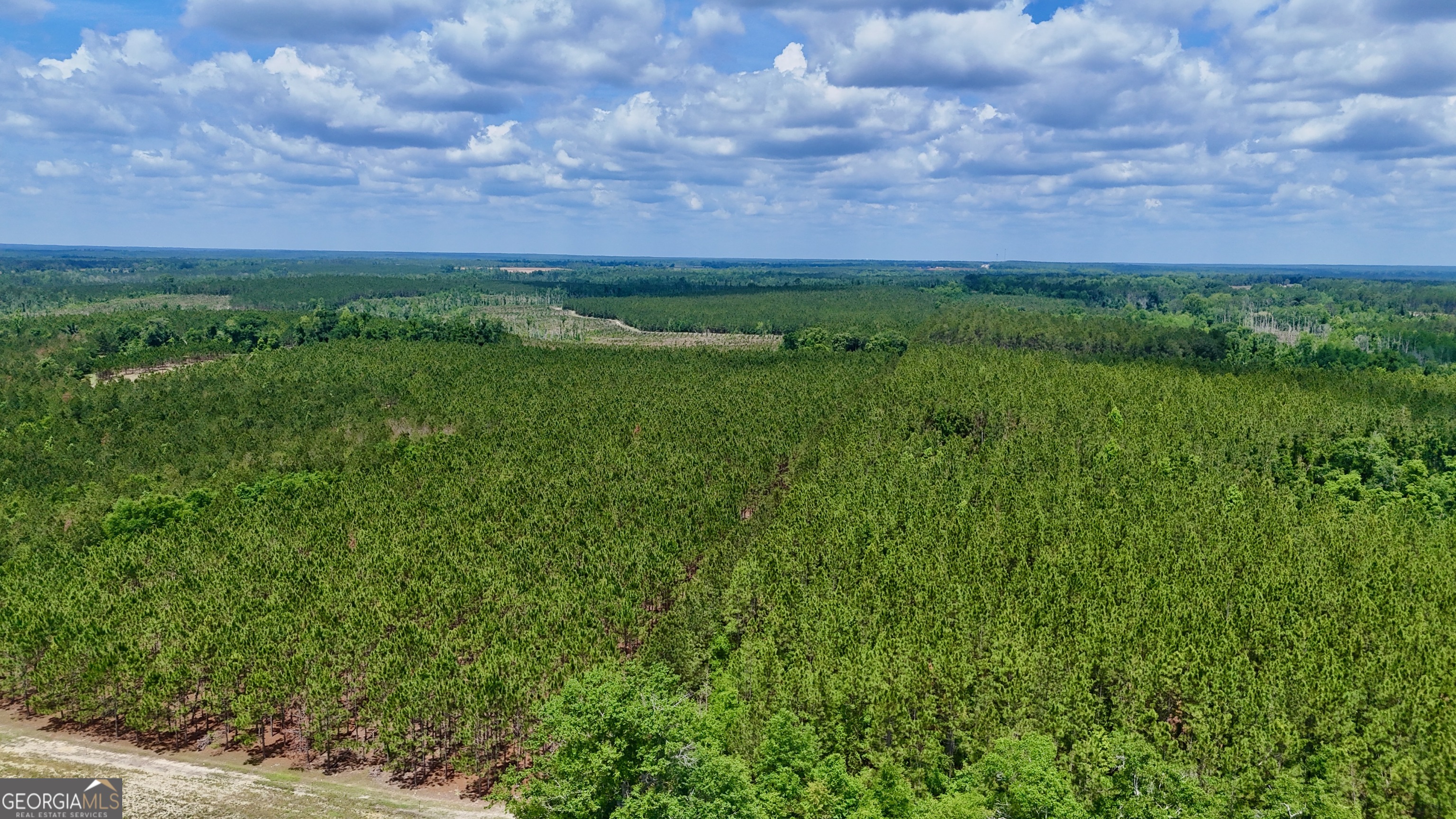0 Neily Wagon Road Property Photo 3