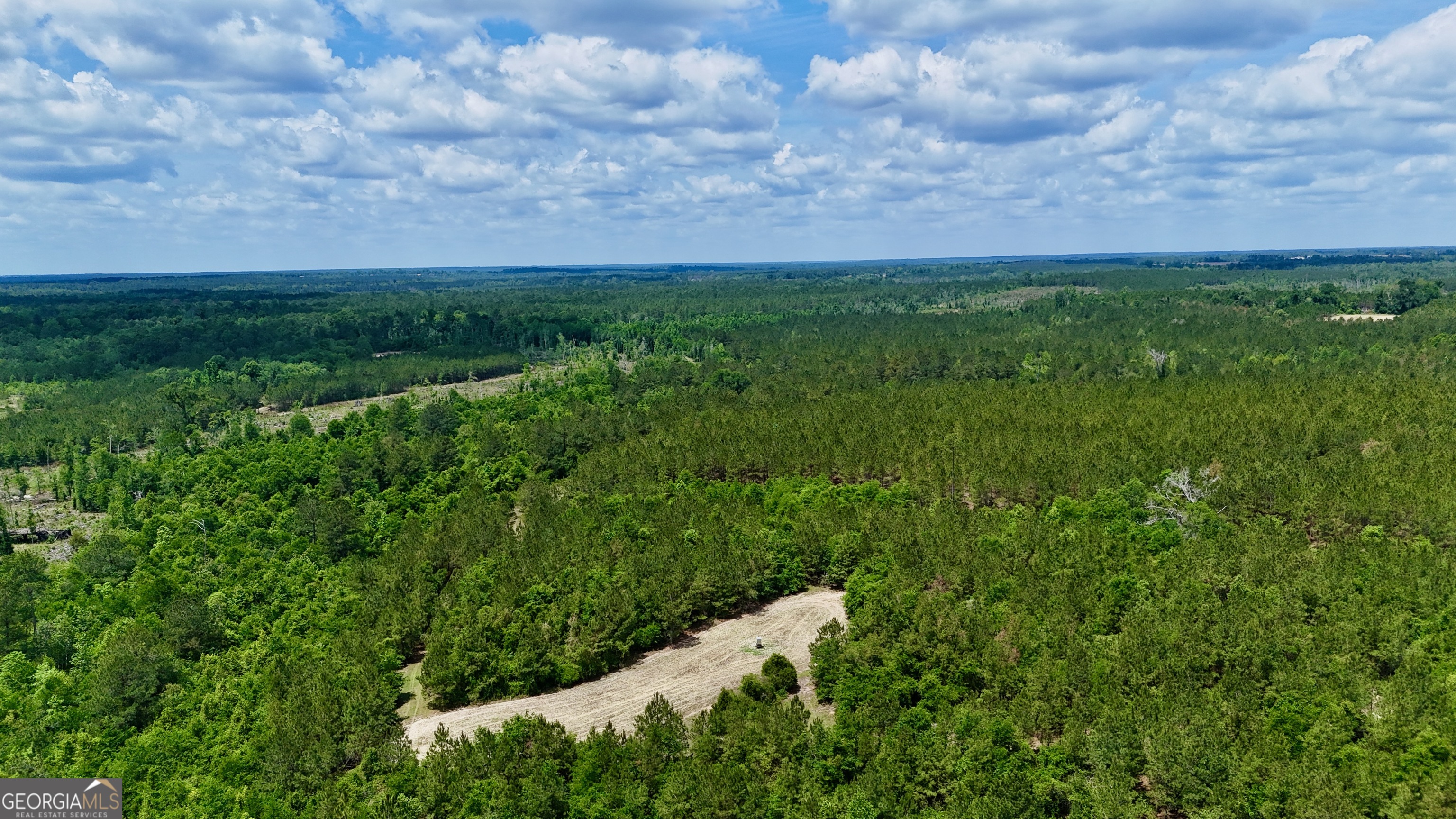 0 Neily Wagon Road Property Photo 6