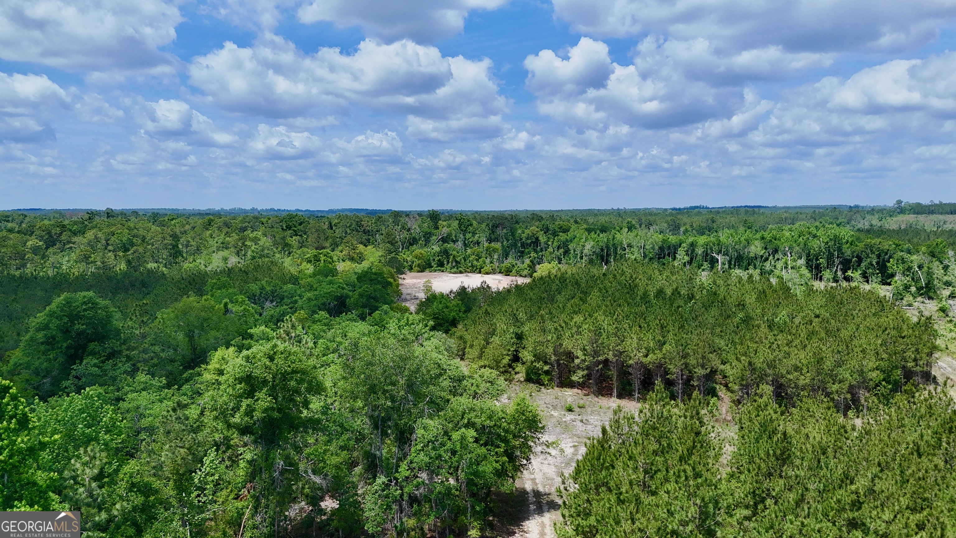 0 Neily Wagon Road Property Photo 7