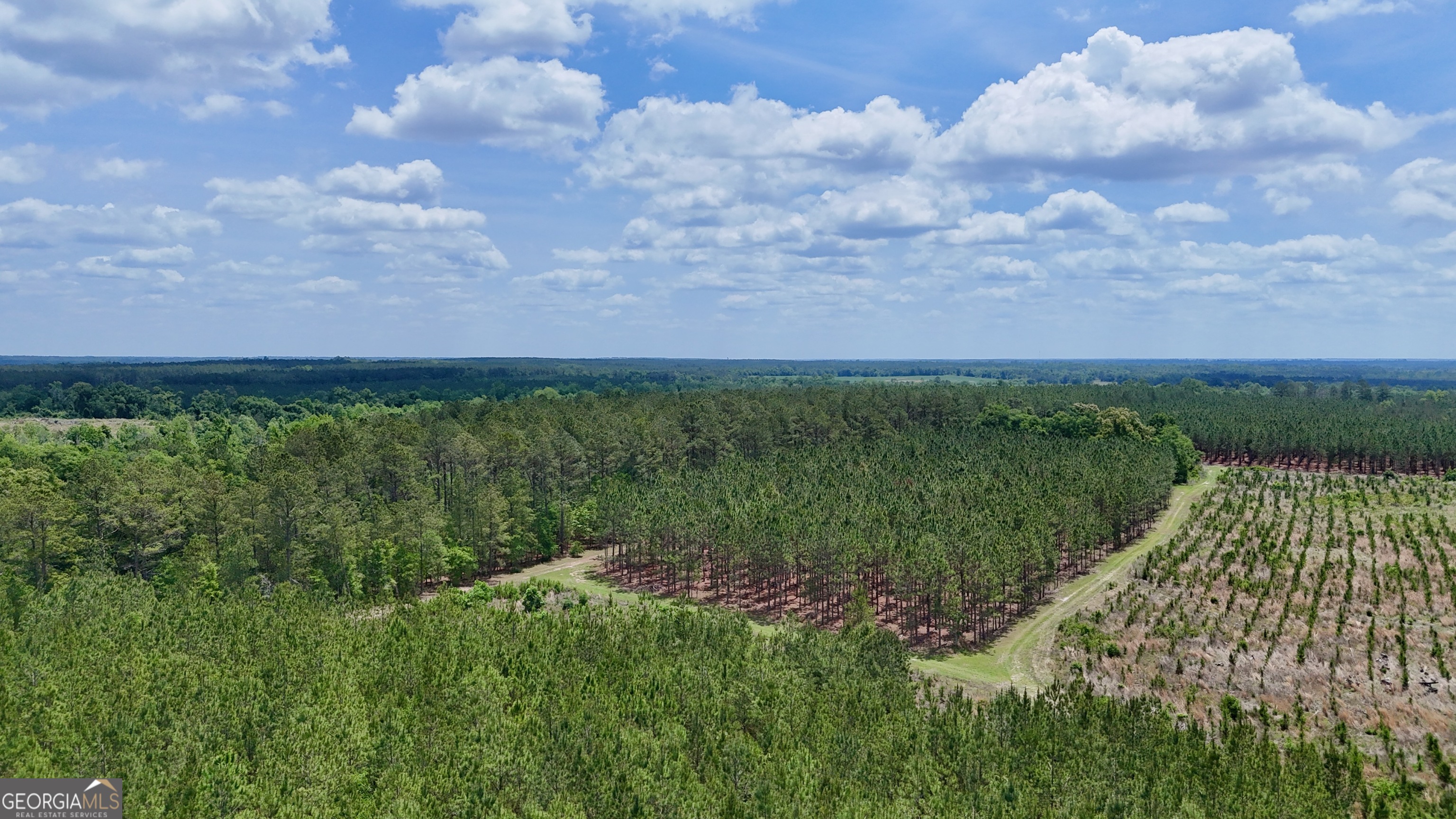 0 Neily Wagon Road Property Photo 8