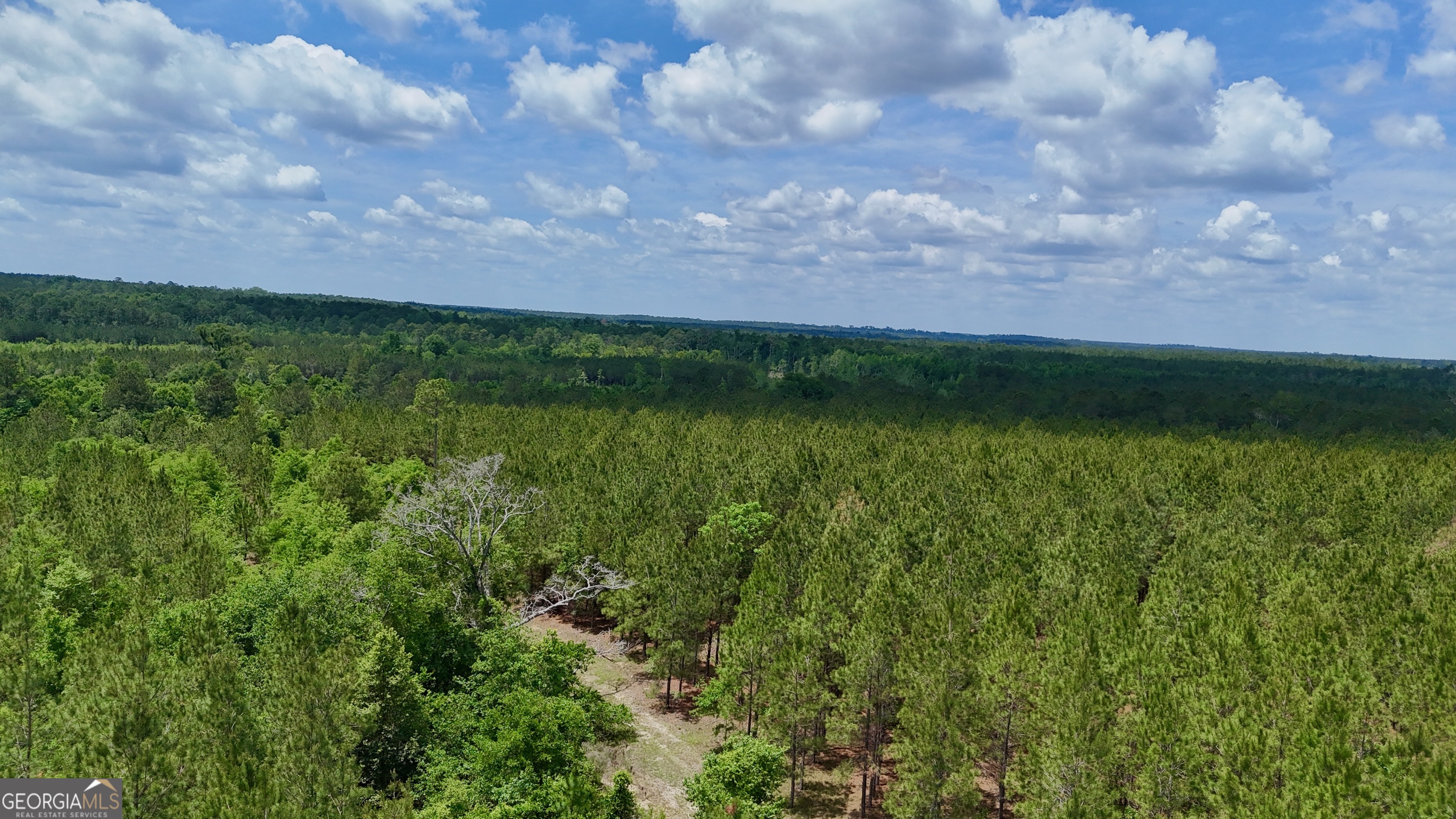 0 Neily Wagon Road Property Photo 10