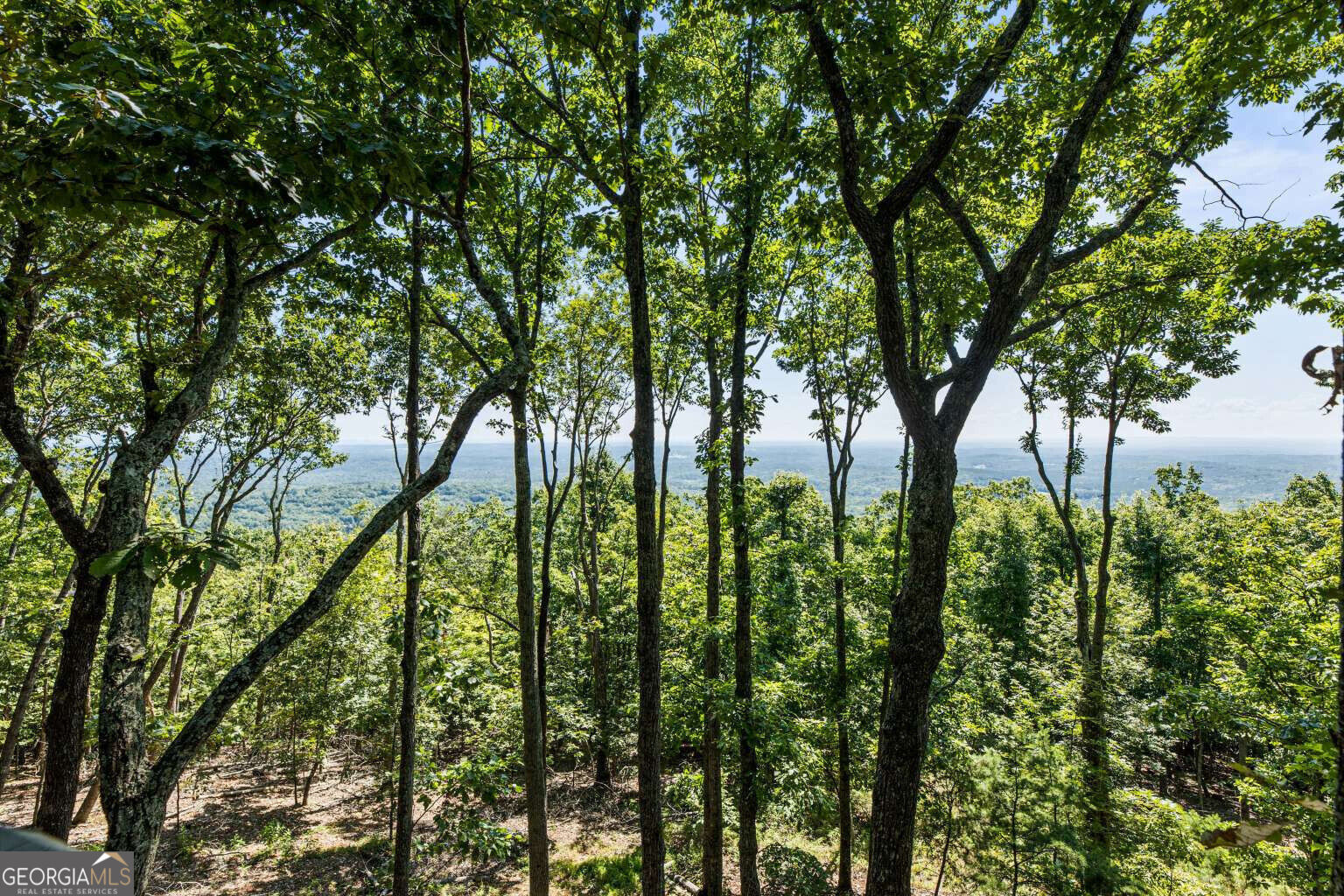 912 Mcelroy Mountain Drive Property Photo 21