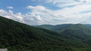 93 Bear Track Trail Property Photo 11