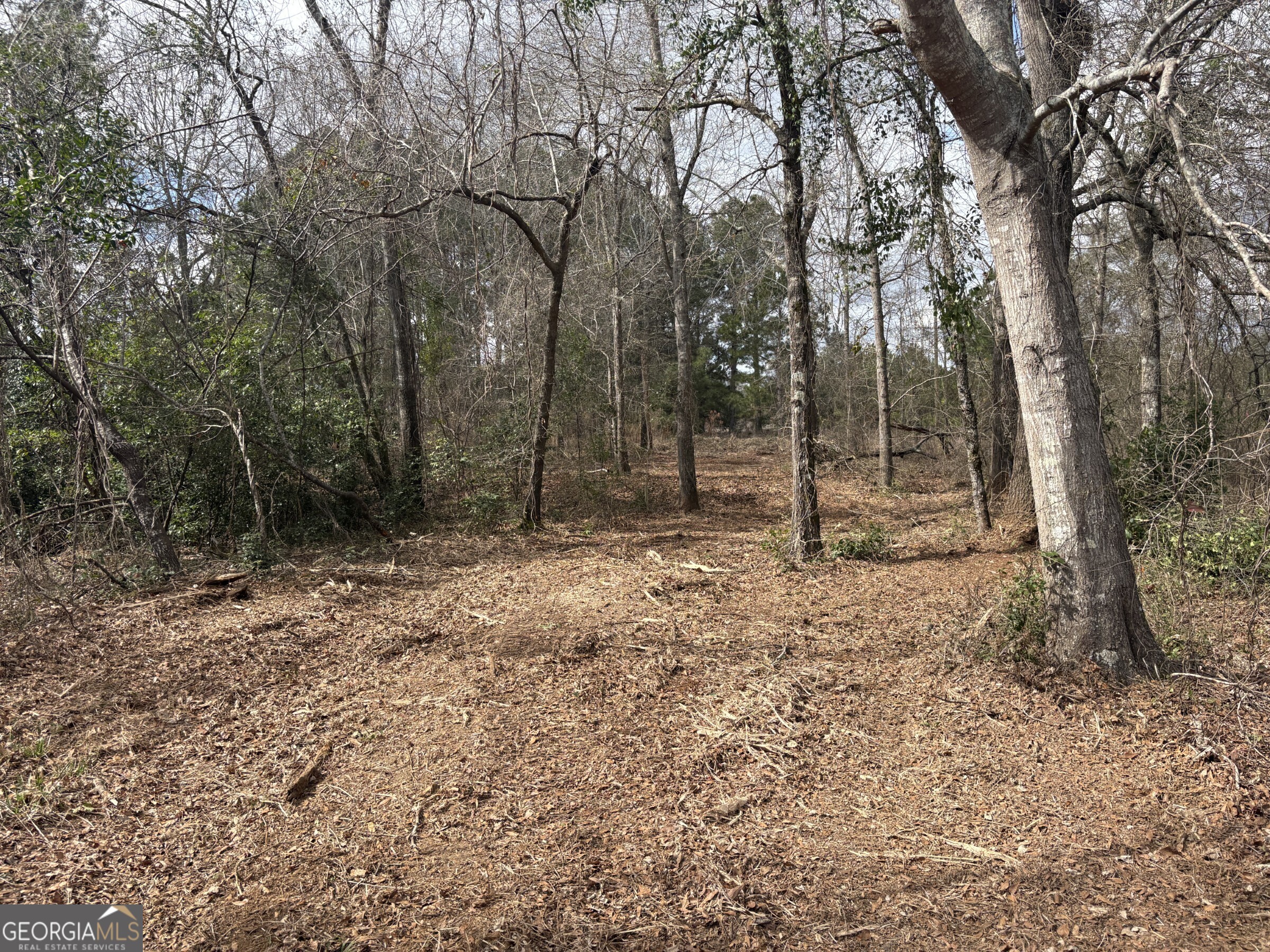 L2&3 Keysville-boggs Academy Road Property Photo 4