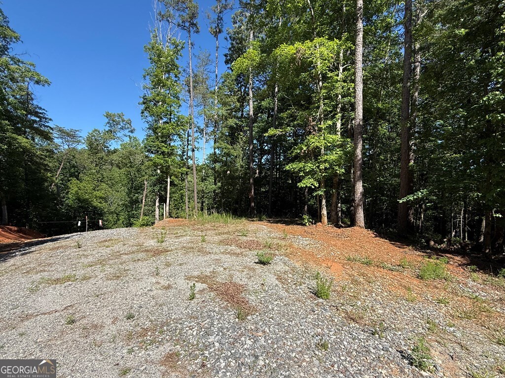 0 Limber Lost Trail Property Photo 2