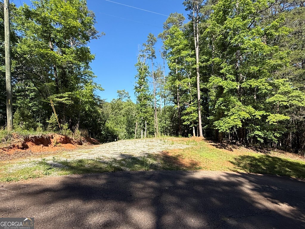 0 Limber Lost Trail Property Photo 3