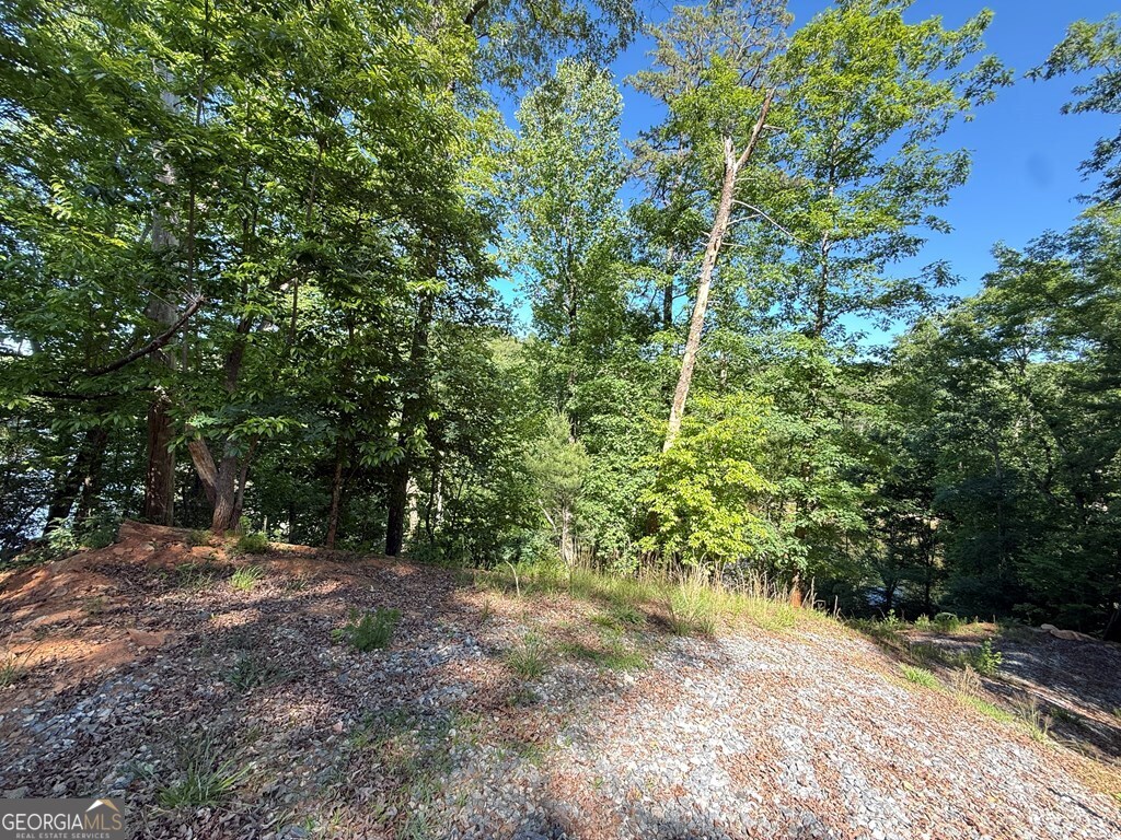 0 Limber Lost Trail Property Photo 4