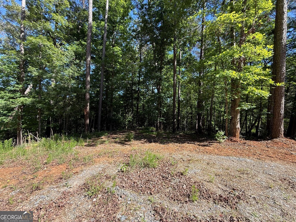 0 Limber Lost Trail Property Photo 5