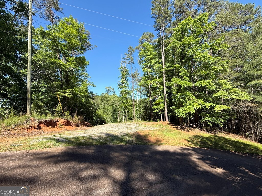 0 Limber Lost Trail Property Photo 6