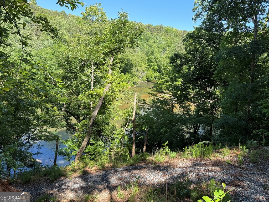 0 Limber Lost Trail Property Photo 10