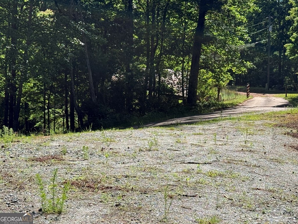 0 Limber Lost Trail Property Photo 16