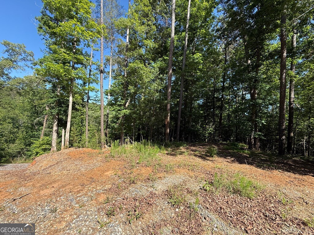 0 Limber Lost Trail Property Photo 21