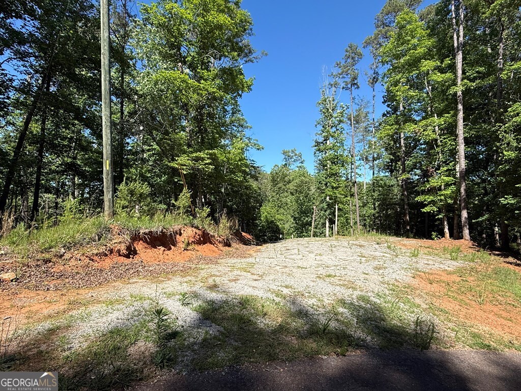 0 Limber Lost Trail Property Photo 22
