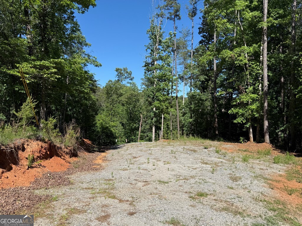 0 Limber Lost Trail Property Photo 23