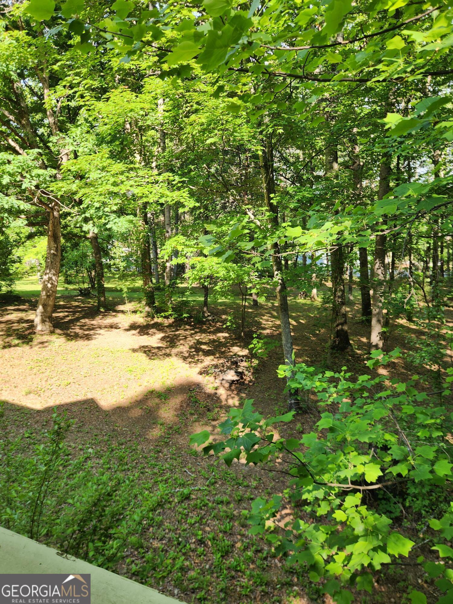 415 Highway 151 Property Photo 4