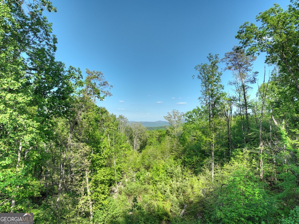 840 Deer Crest Road Property Photo 48