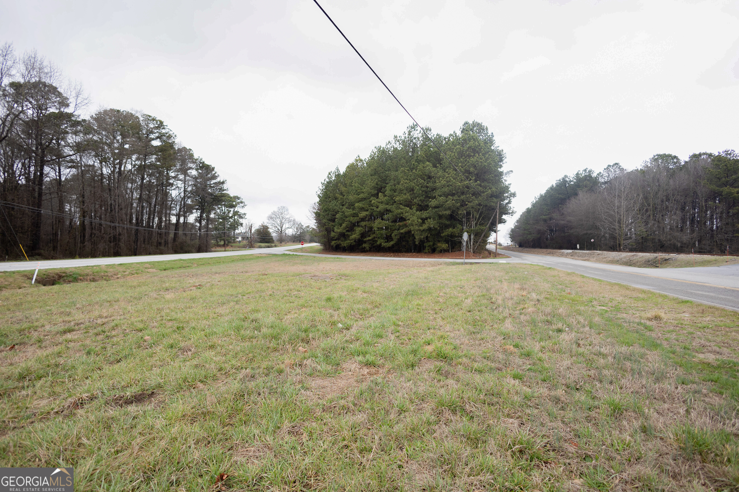 0 Highway 17 Property Photo 3