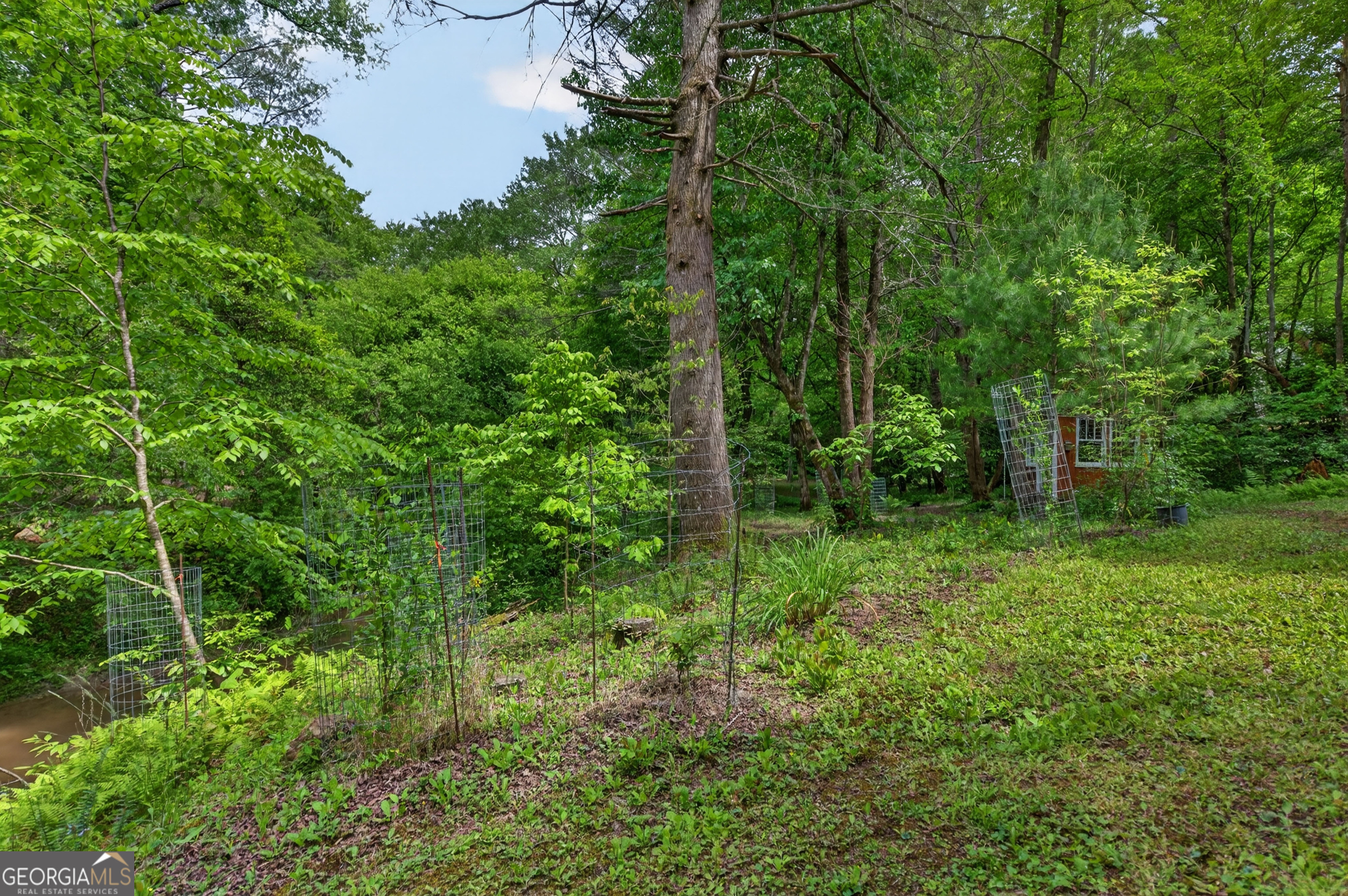 481 Johns Ridge Road Property Photo 61