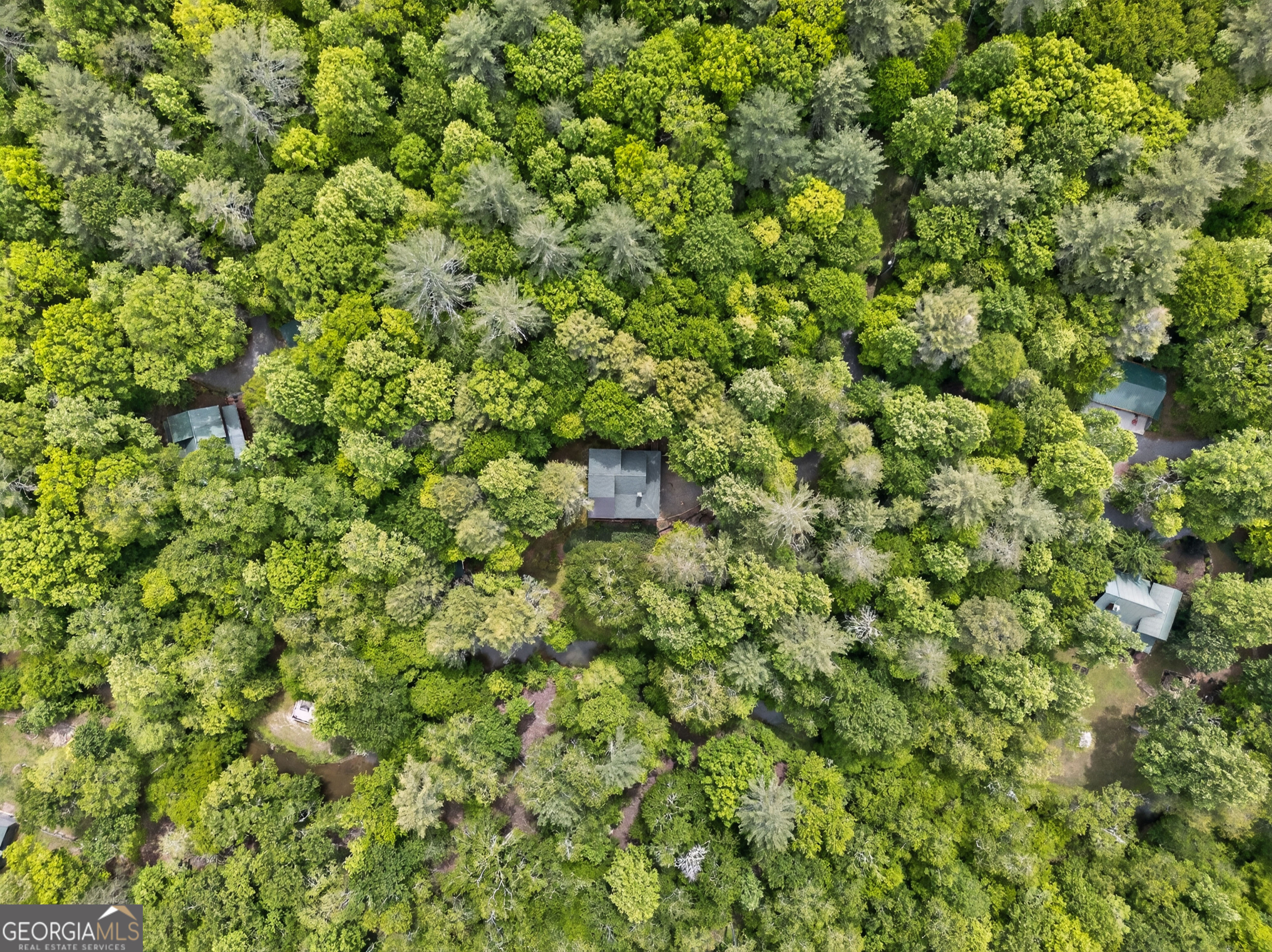 481 Johns Ridge Road Property Photo 69