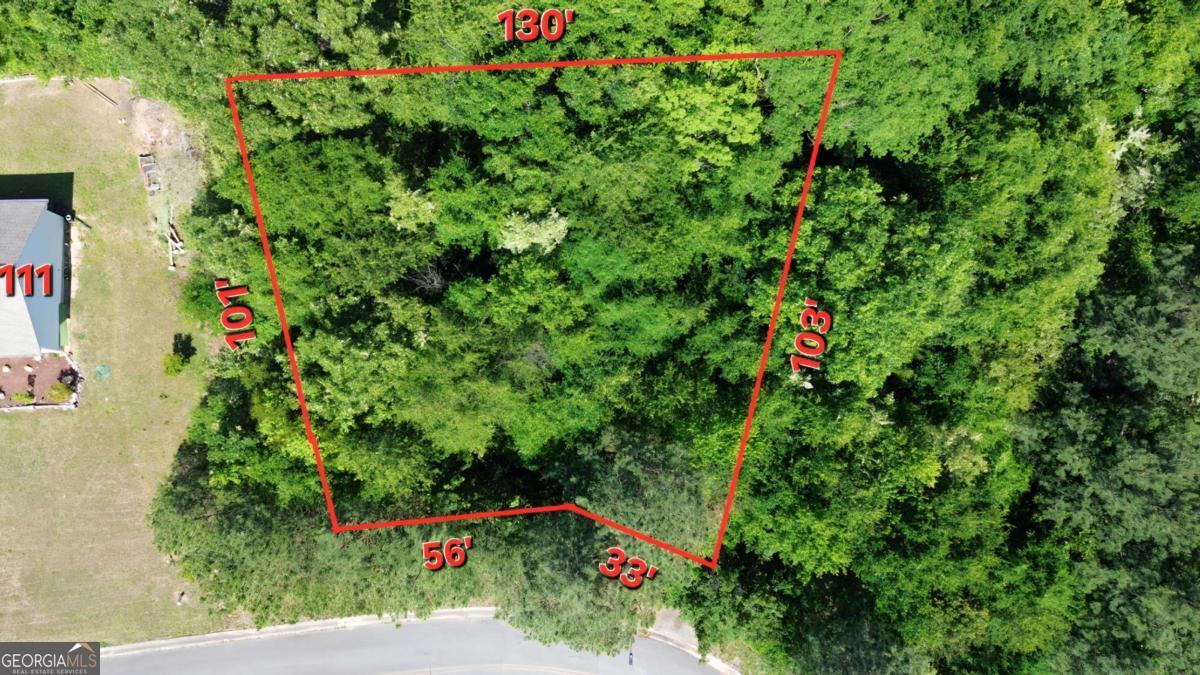 111 Jarrett Drive Property Photo 23