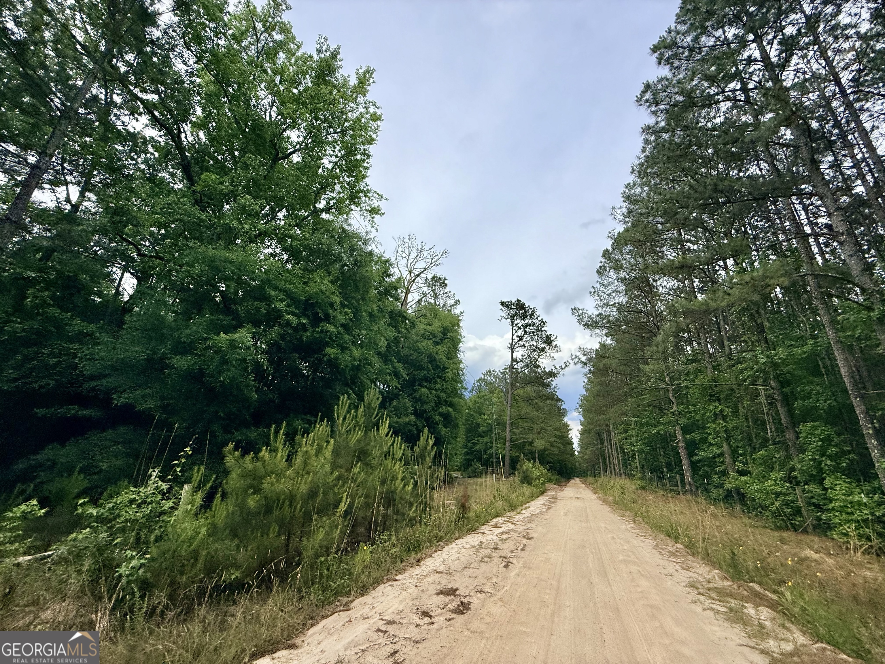 715 Fulsome Creek Road Property Photo 8