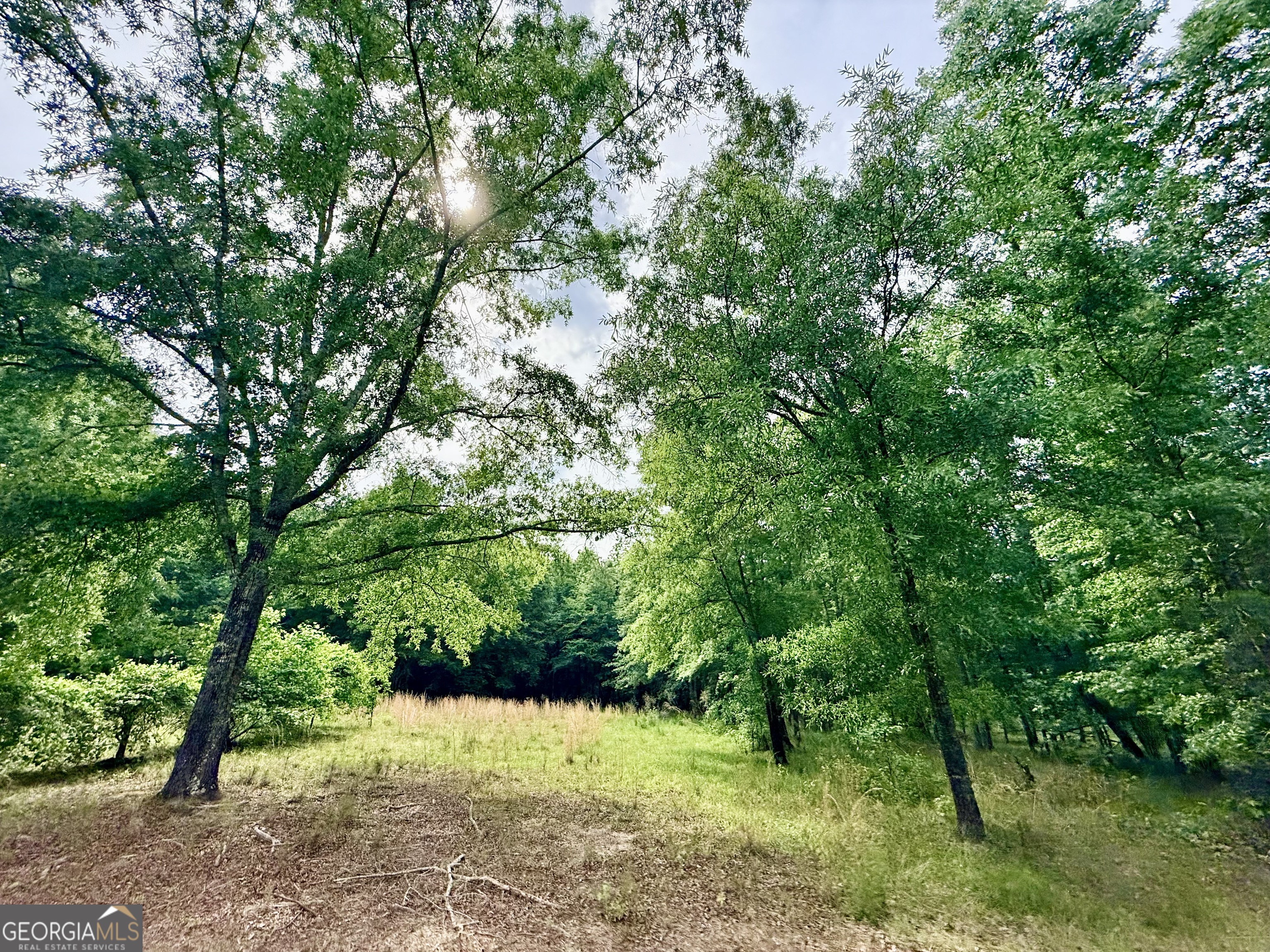 715 Fulsome Creek Road Property Photo 12