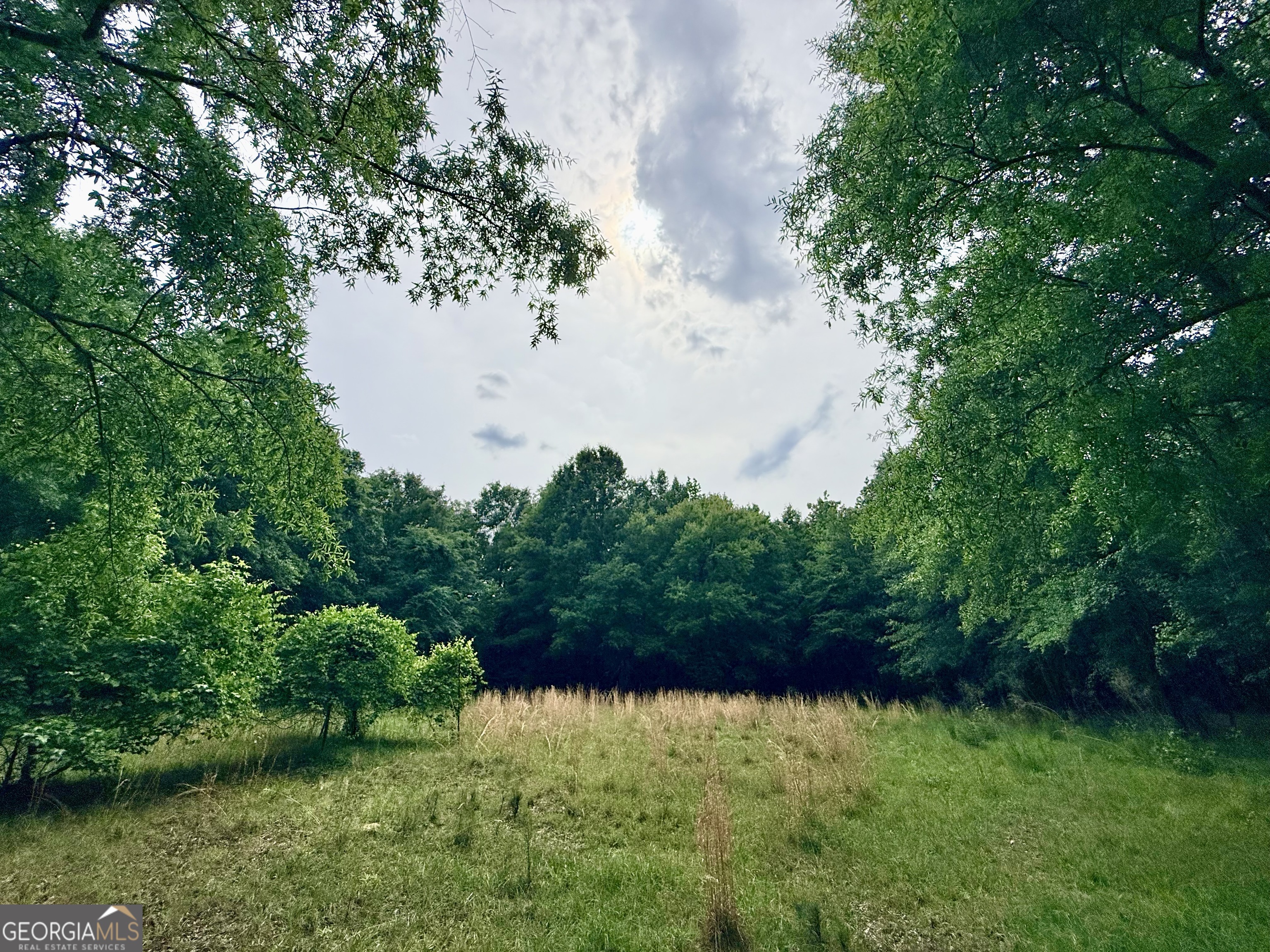 715 Fulsome Creek Road Property Photo 13