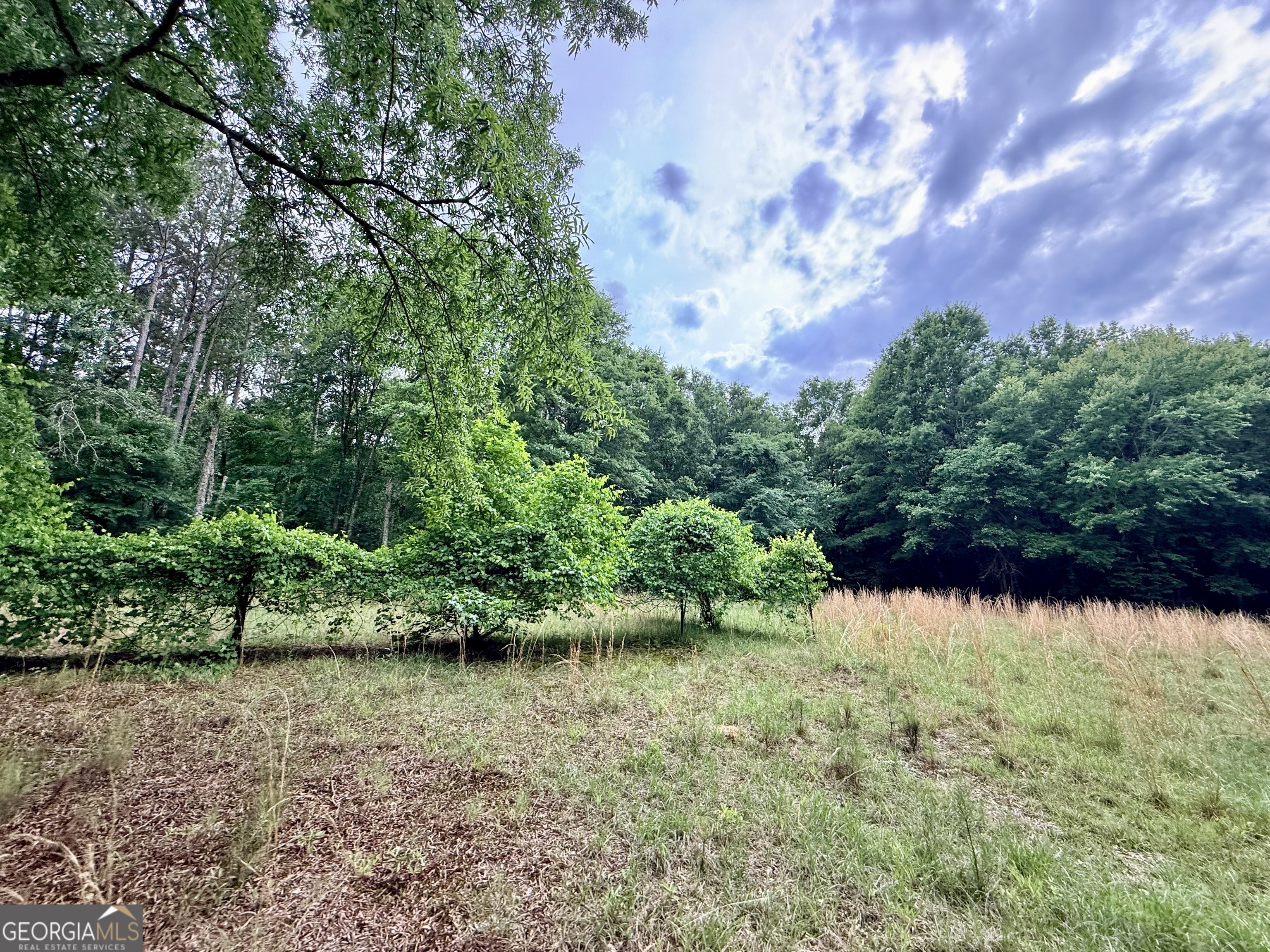 715 Fulsome Creek Road Property Photo 14