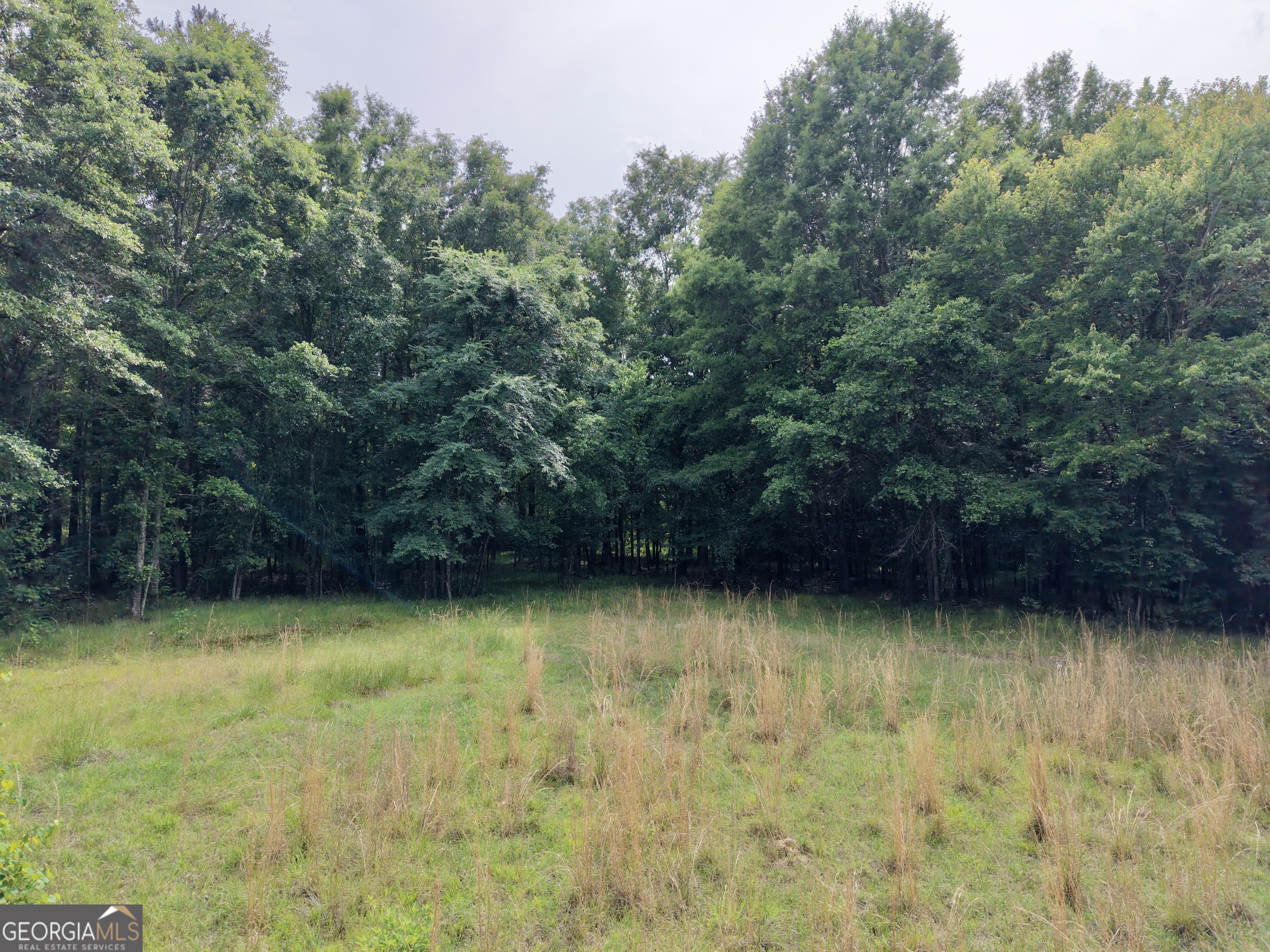 715 Fulsome Creek Road Property Photo 20