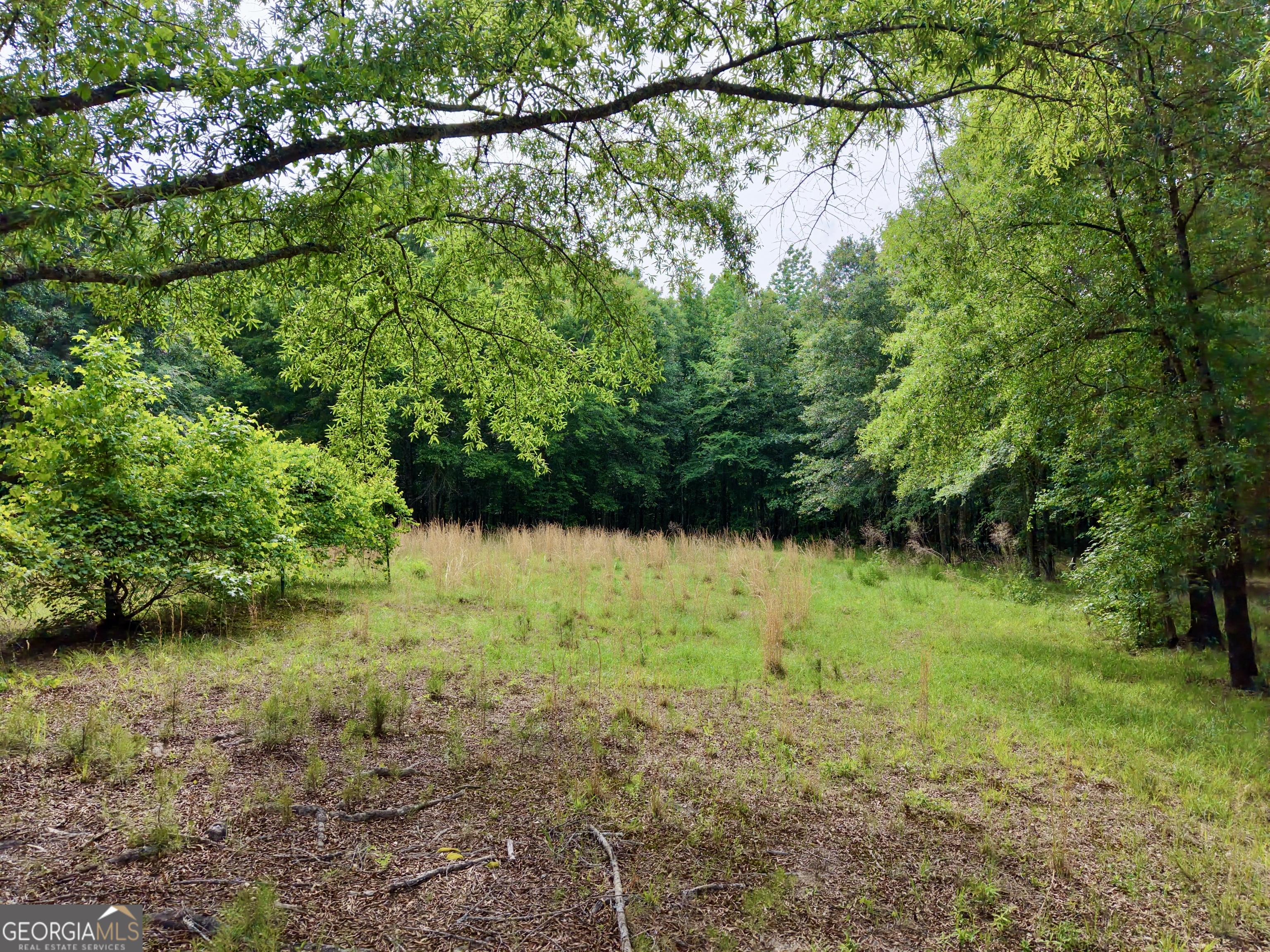 715 Fulsome Creek Road Property Photo 21
