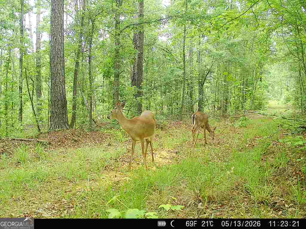 715 Fulsome Creek Road Property Photo 23