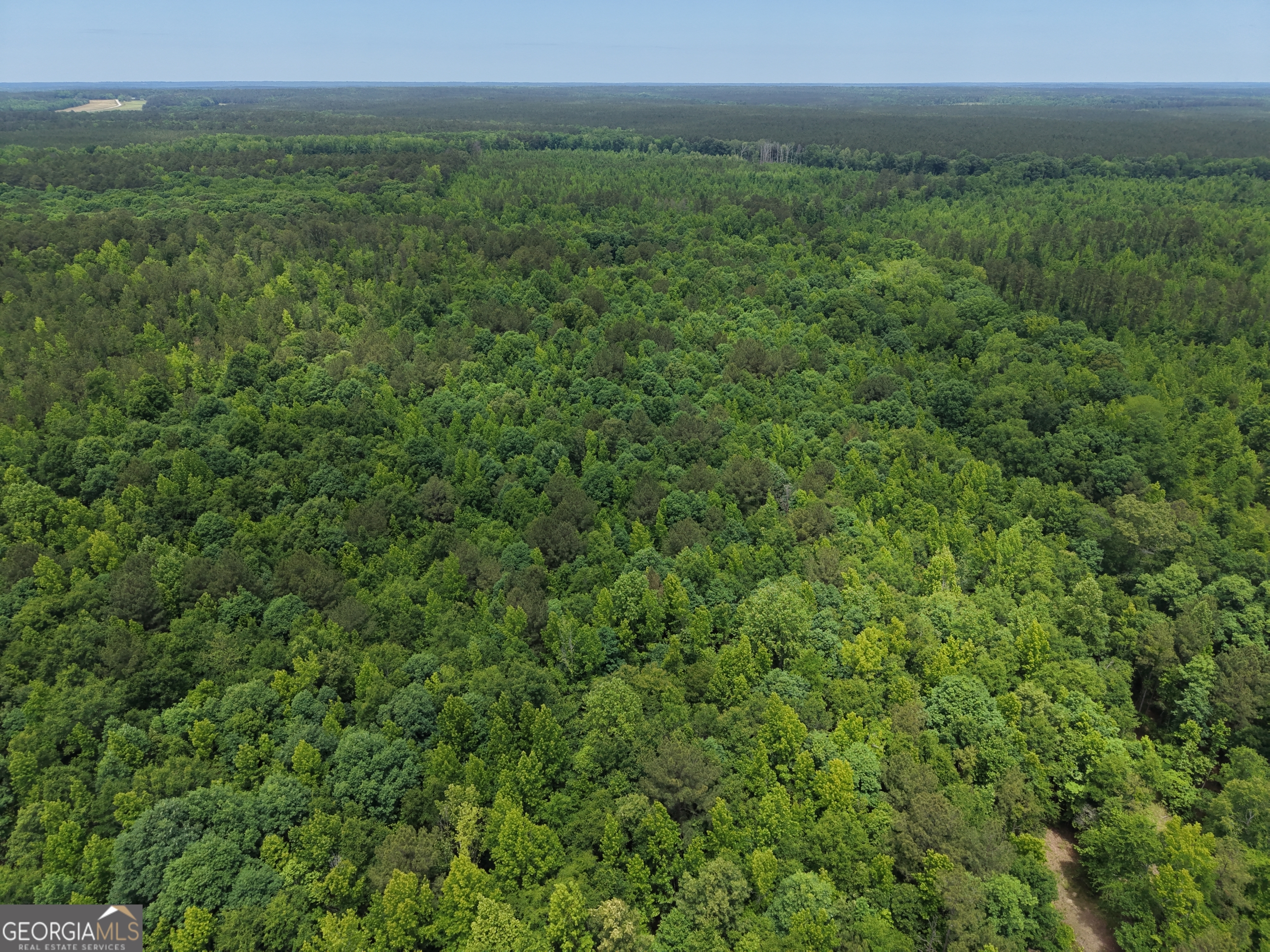 715 Fulsome Creek Road Property Photo 27