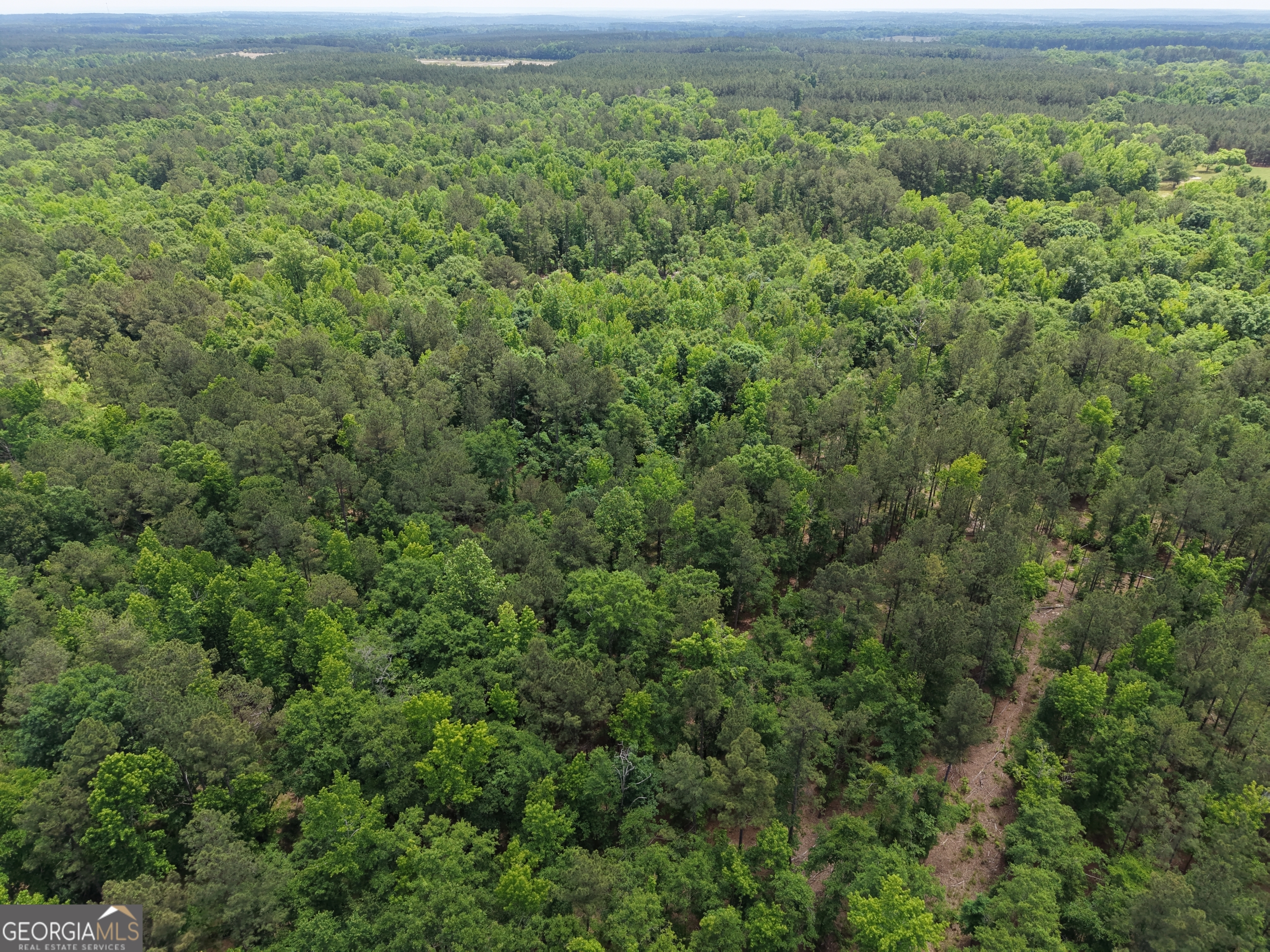 715 Fulsome Creek Road Property Photo 29