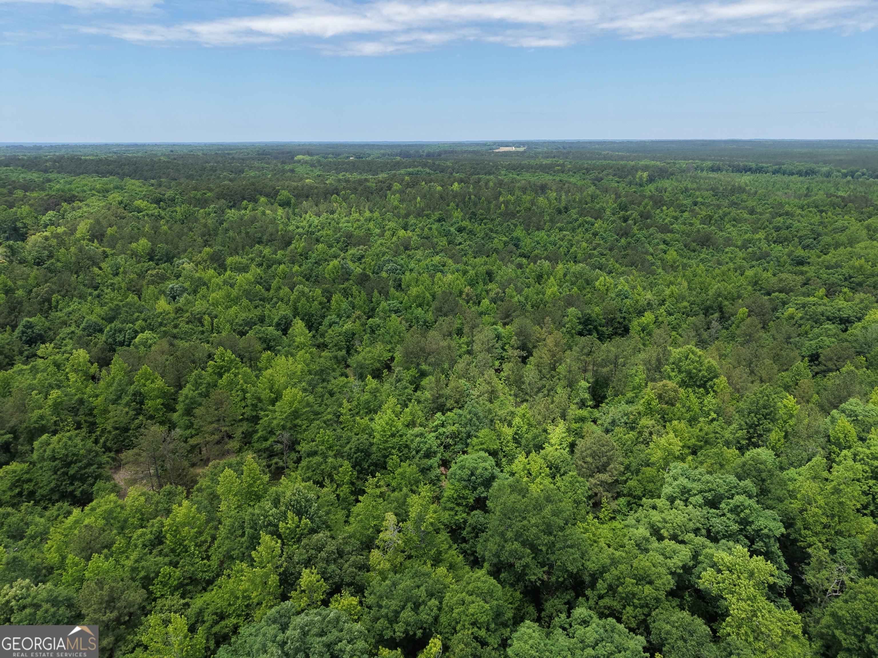 715 Fulsome Creek Road Property Photo 30