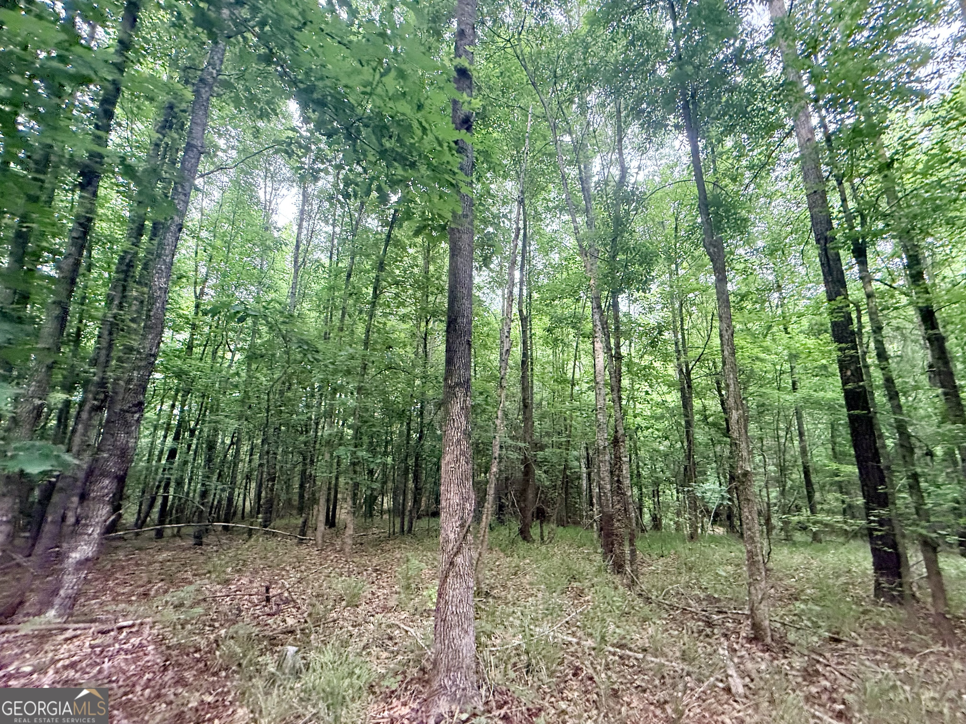715 Fulsome Creek Road Property Photo 39
