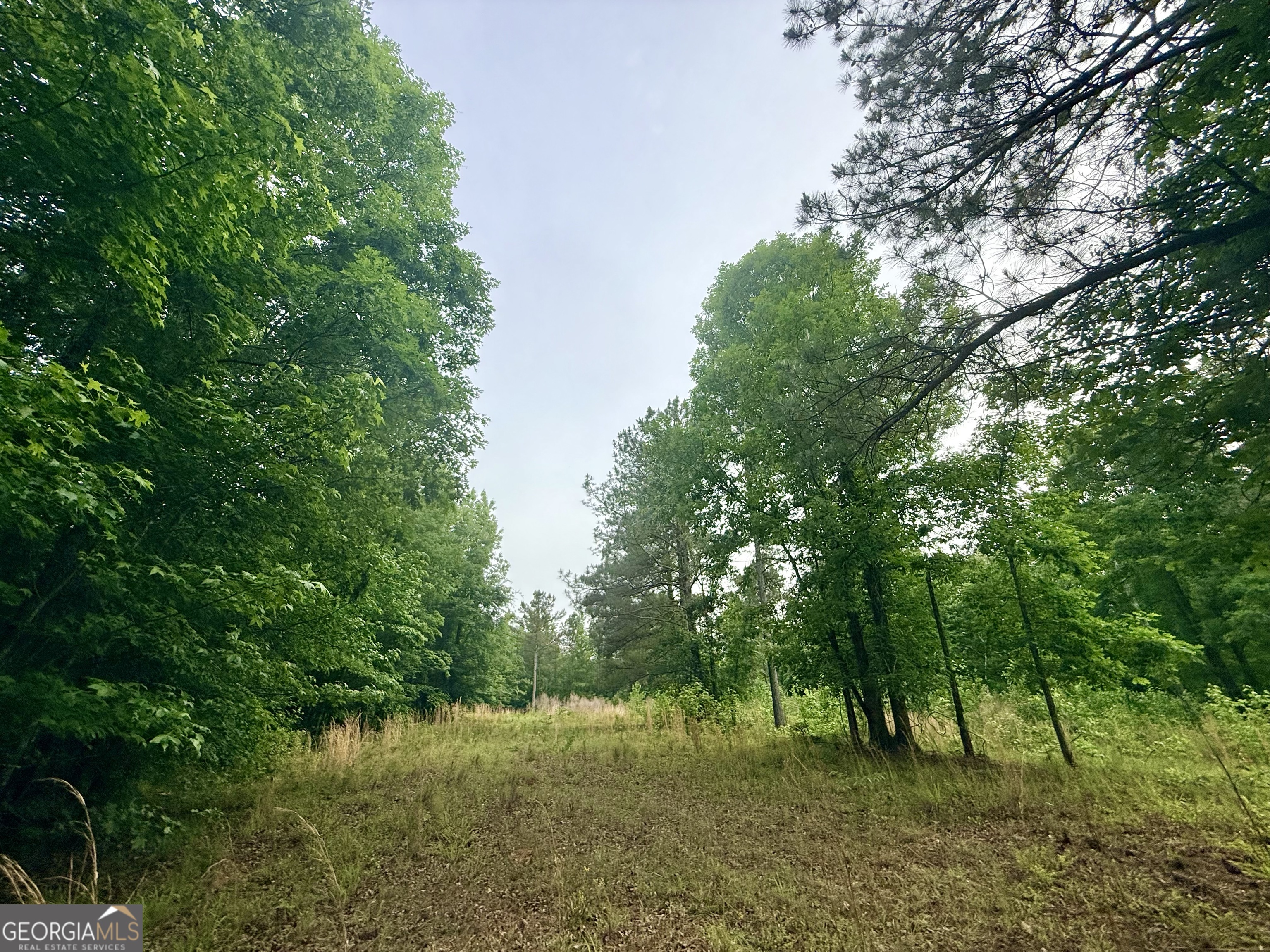 715 Fulsome Creek Road Property Photo 40