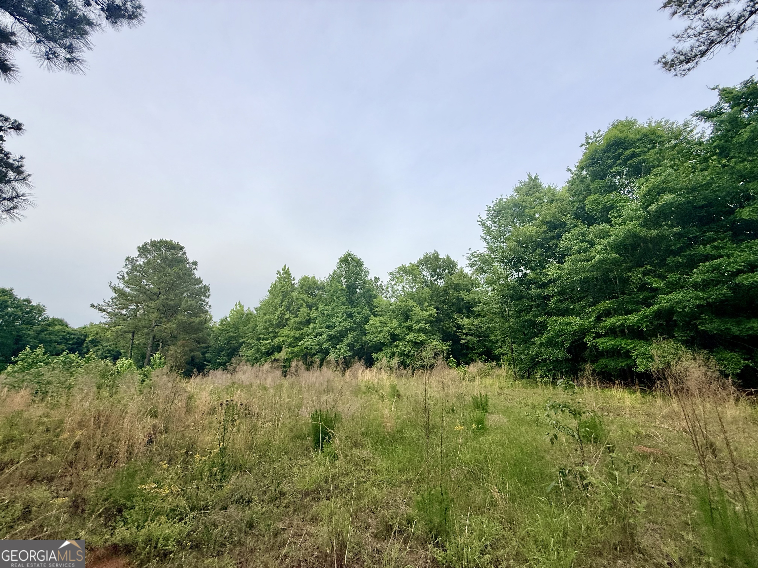 715 Fulsome Creek Road Property Photo 41