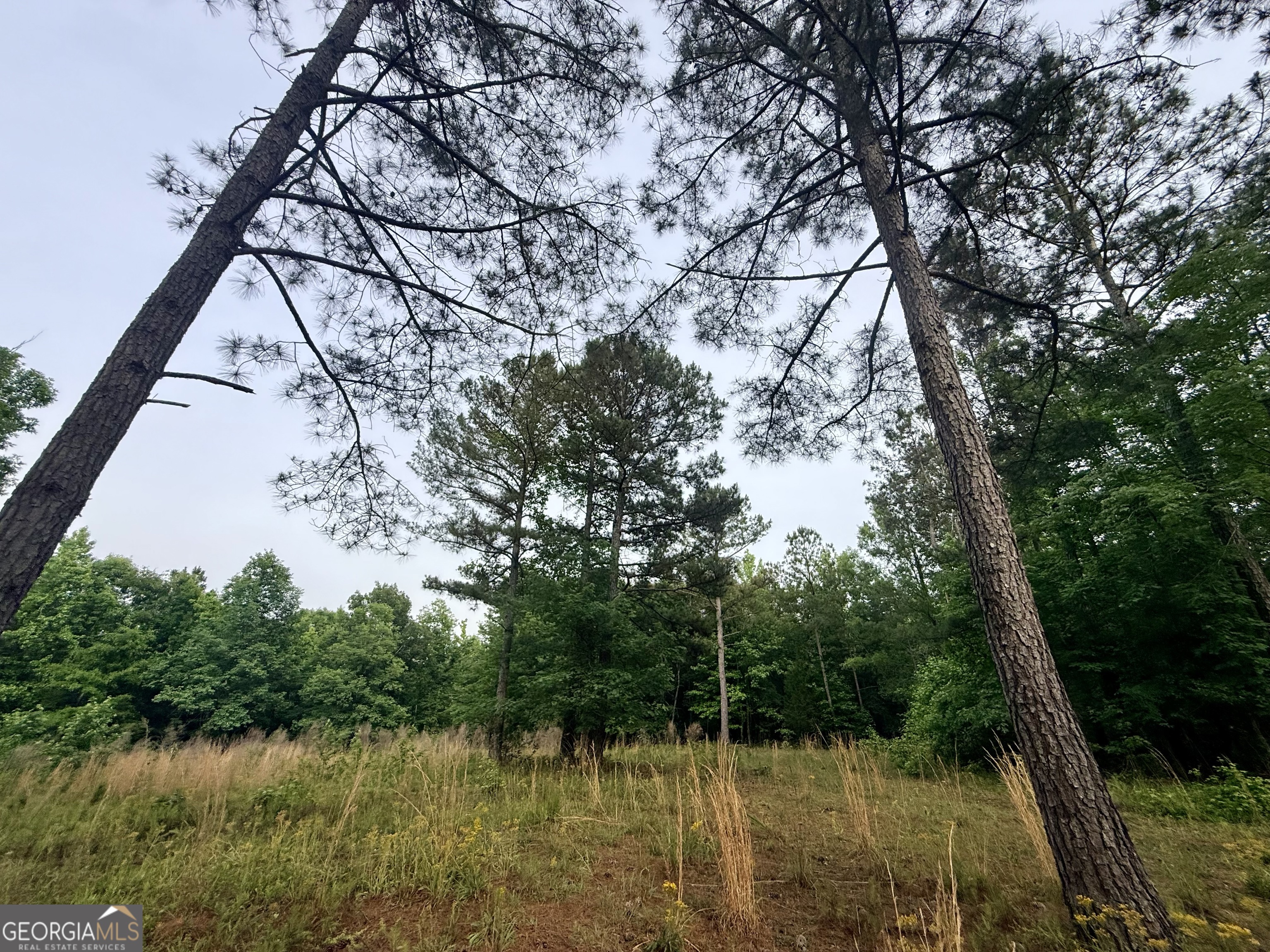 715 Fulsome Creek Road Property Photo 42