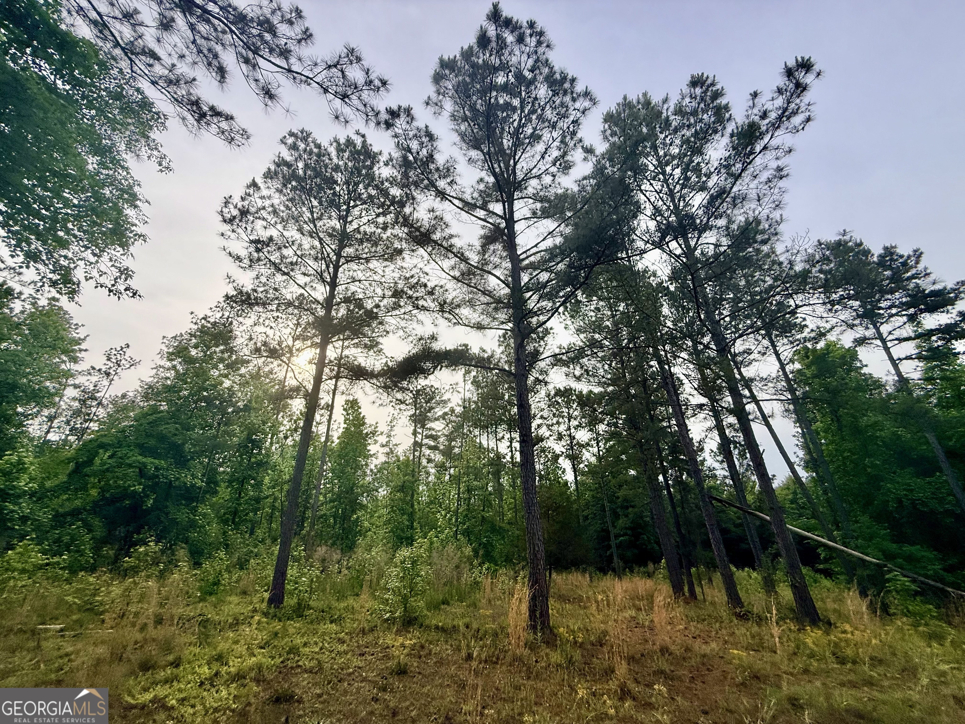 715 Fulsome Creek Road Property Photo 43