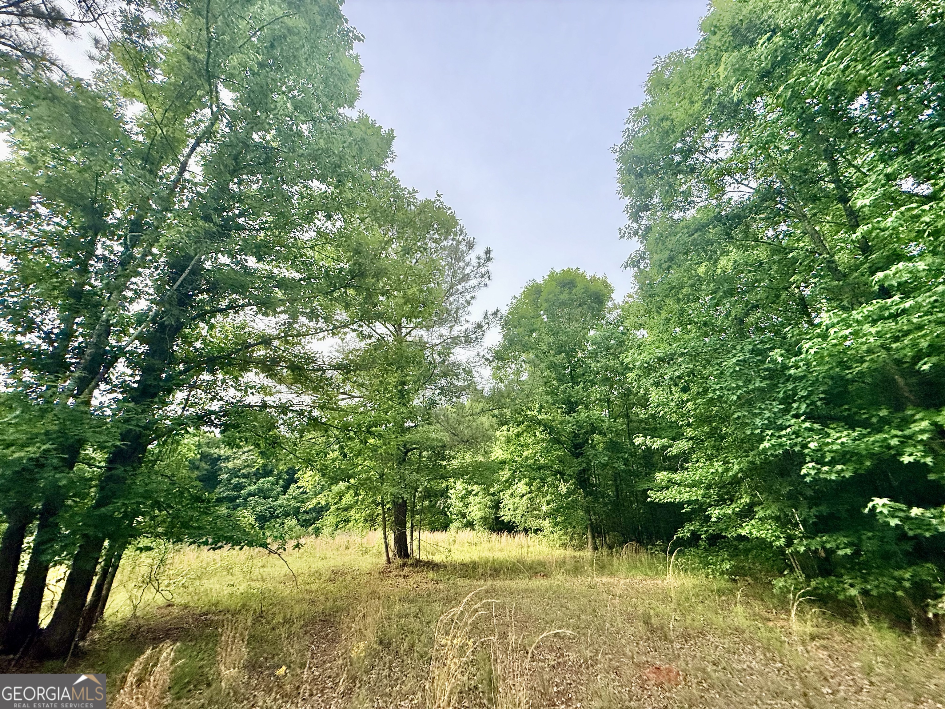 715 Fulsome Creek Road Property Photo 44