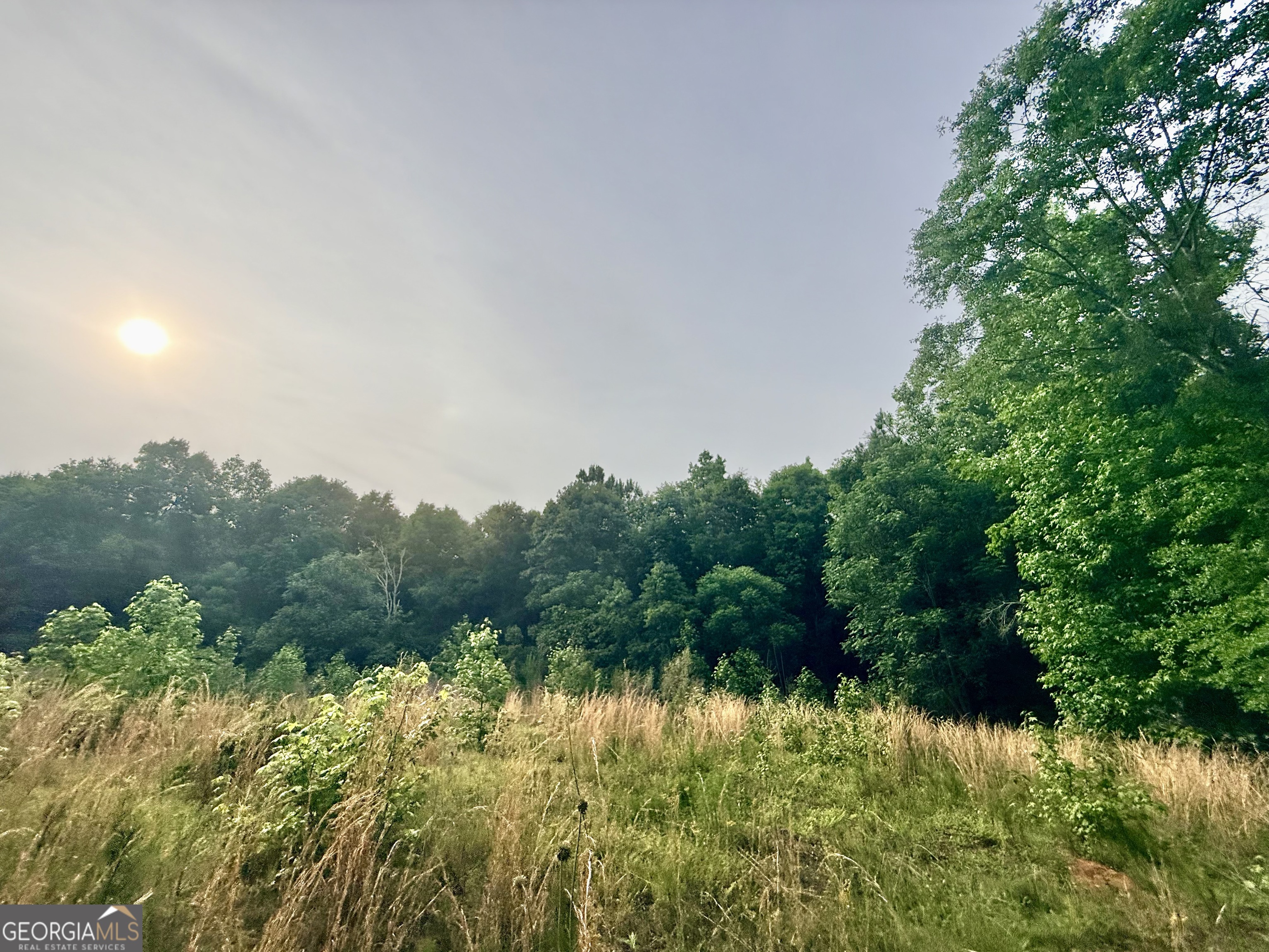 715 Fulsome Creek Road Property Photo 45
