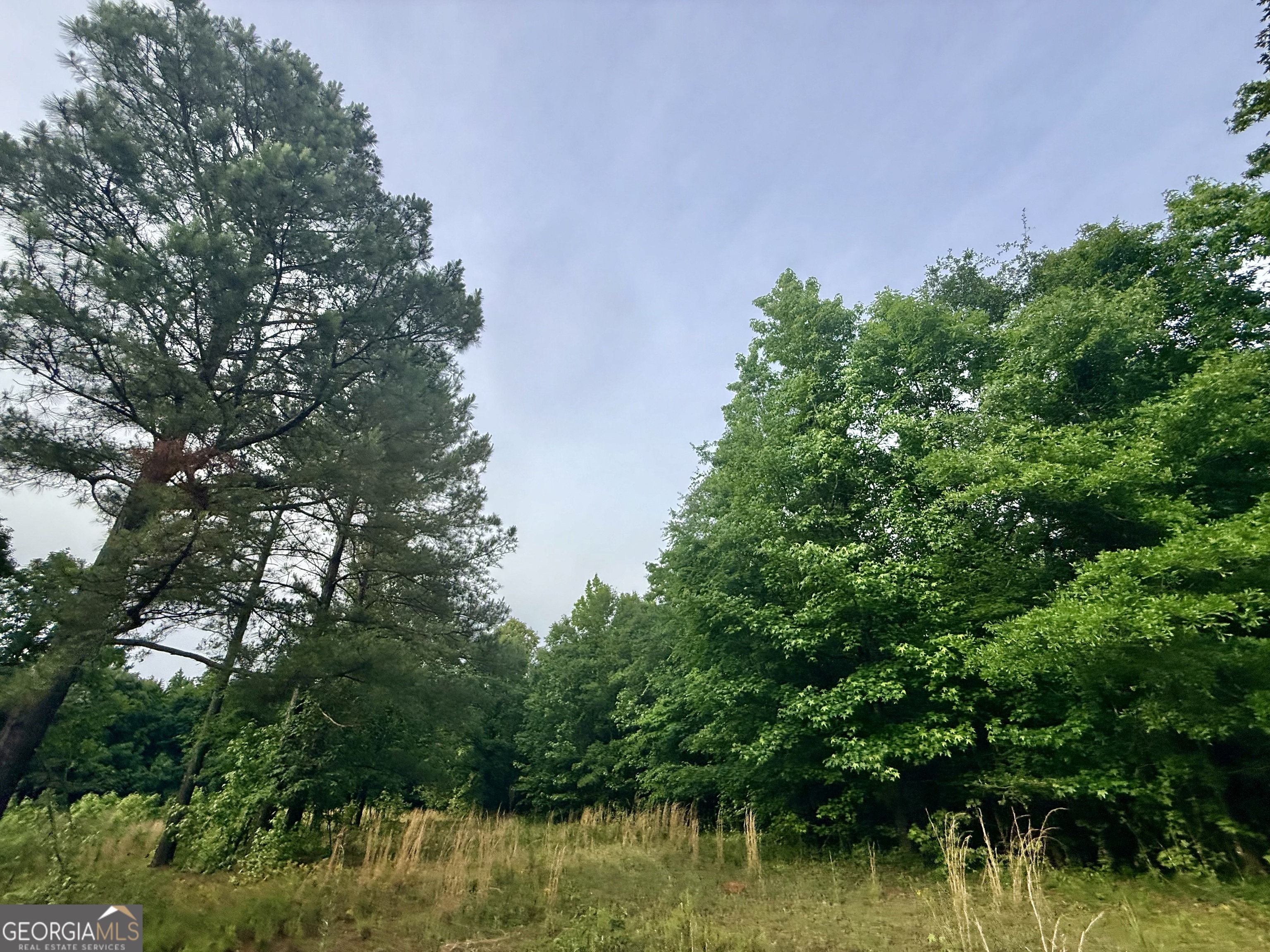 715 Fulsome Creek Road Property Photo 46