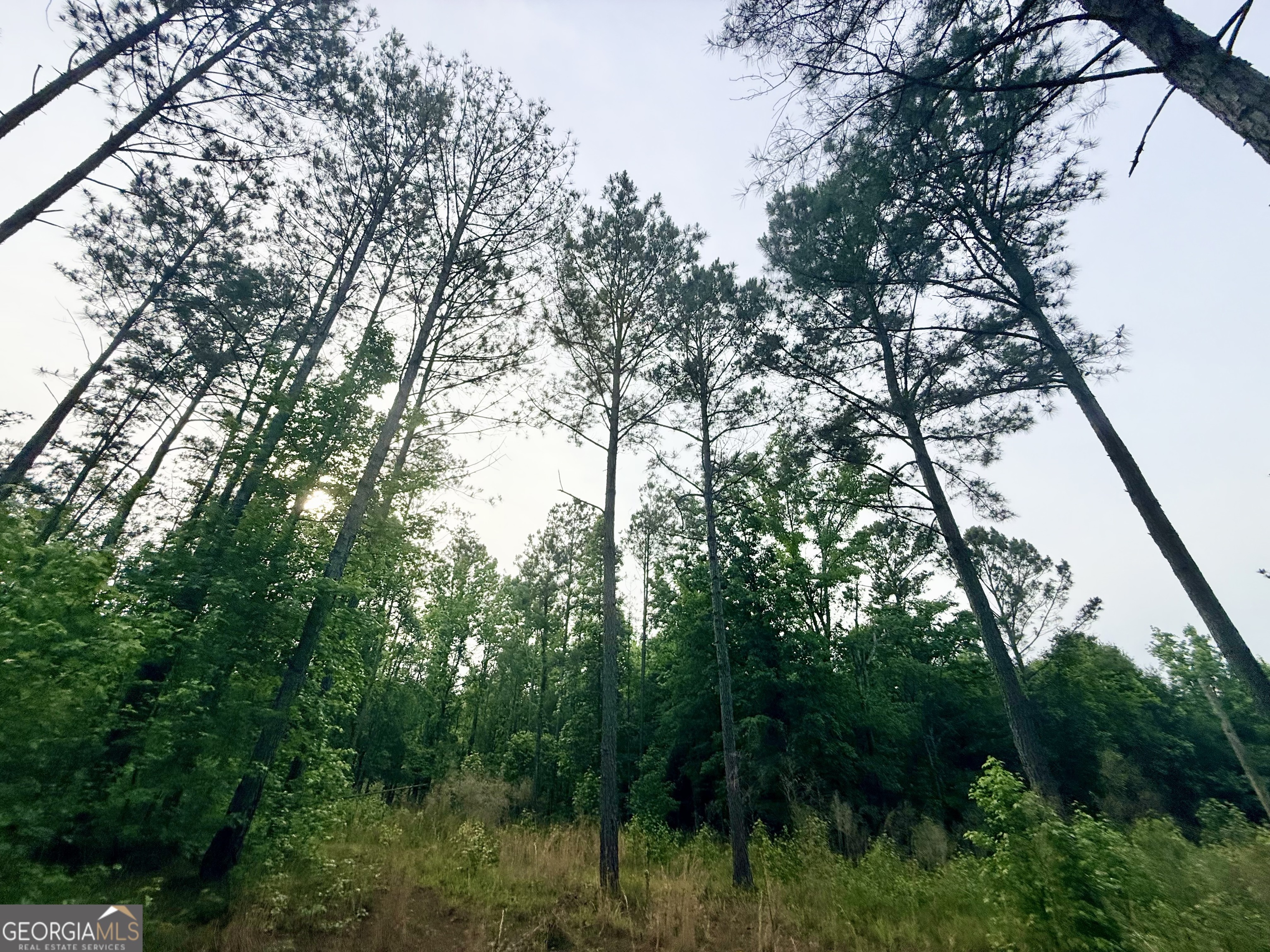 715 Fulsome Creek Road Property Photo 47